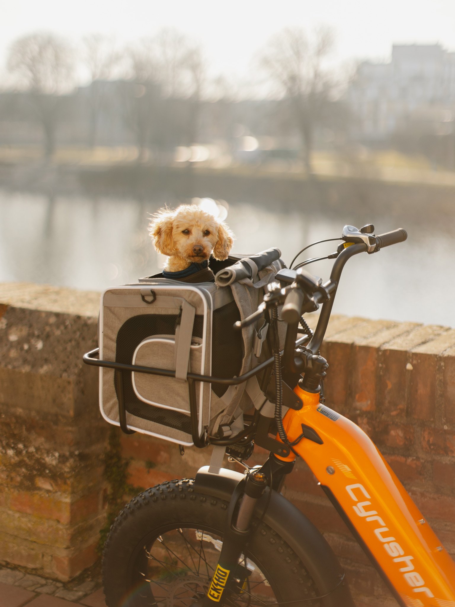 Florian Wenzel -  Cyrusher Glider - 03.jpg