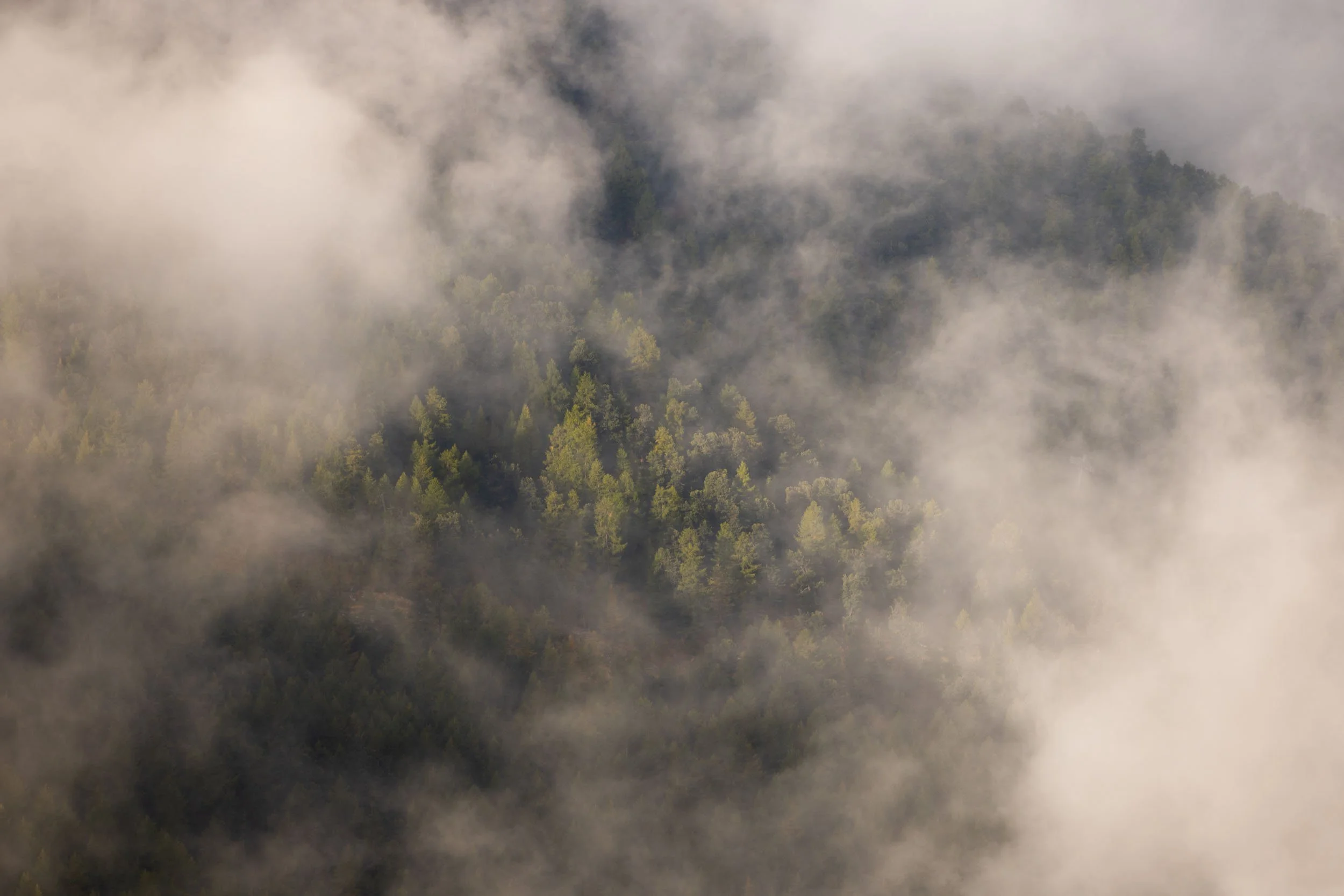 Florian_Wenzel_Photographer_Ulm_Autumn_Alps_10.jpg