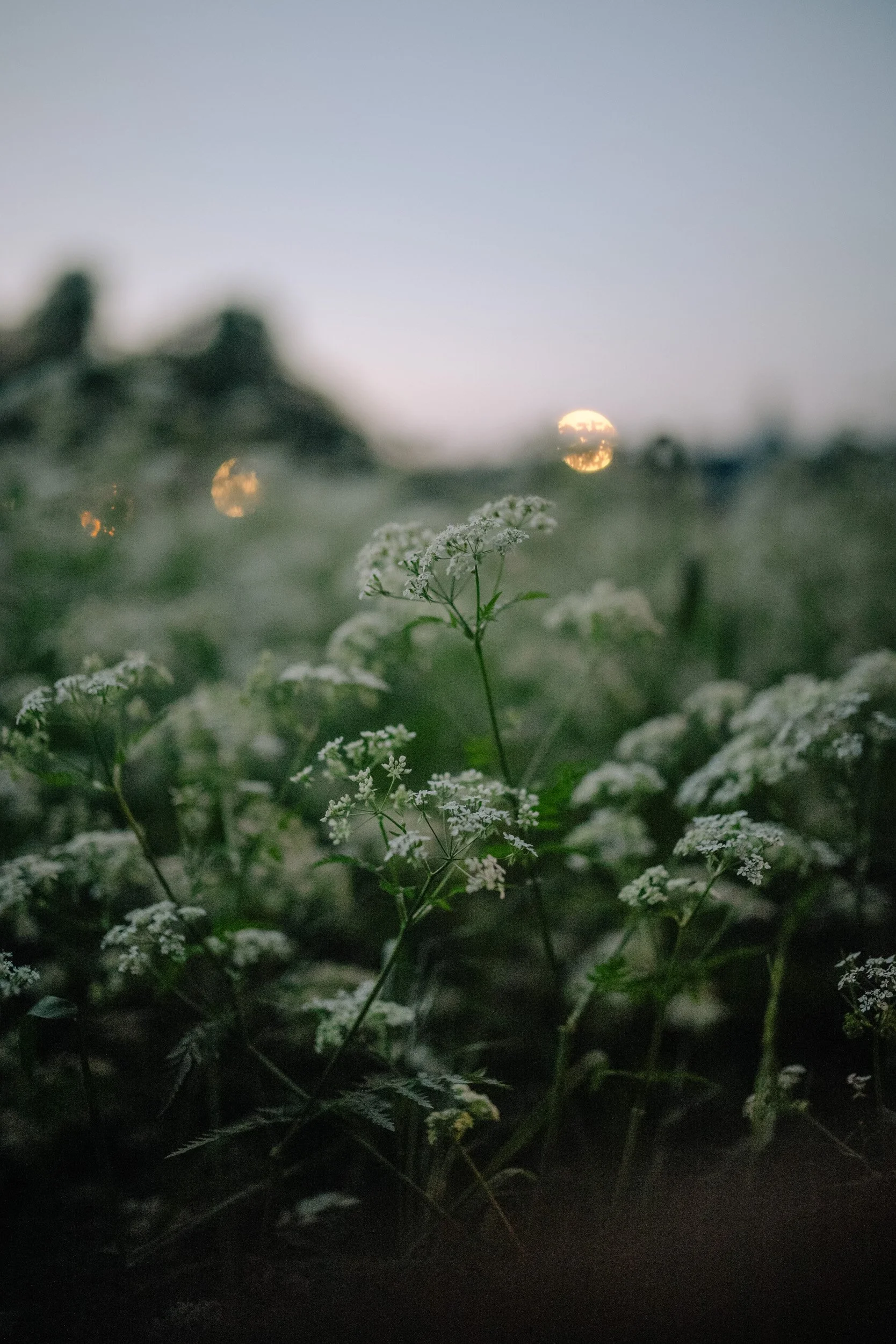 Florian_Wenzel_Photographer_Münsterland_11.jpg
