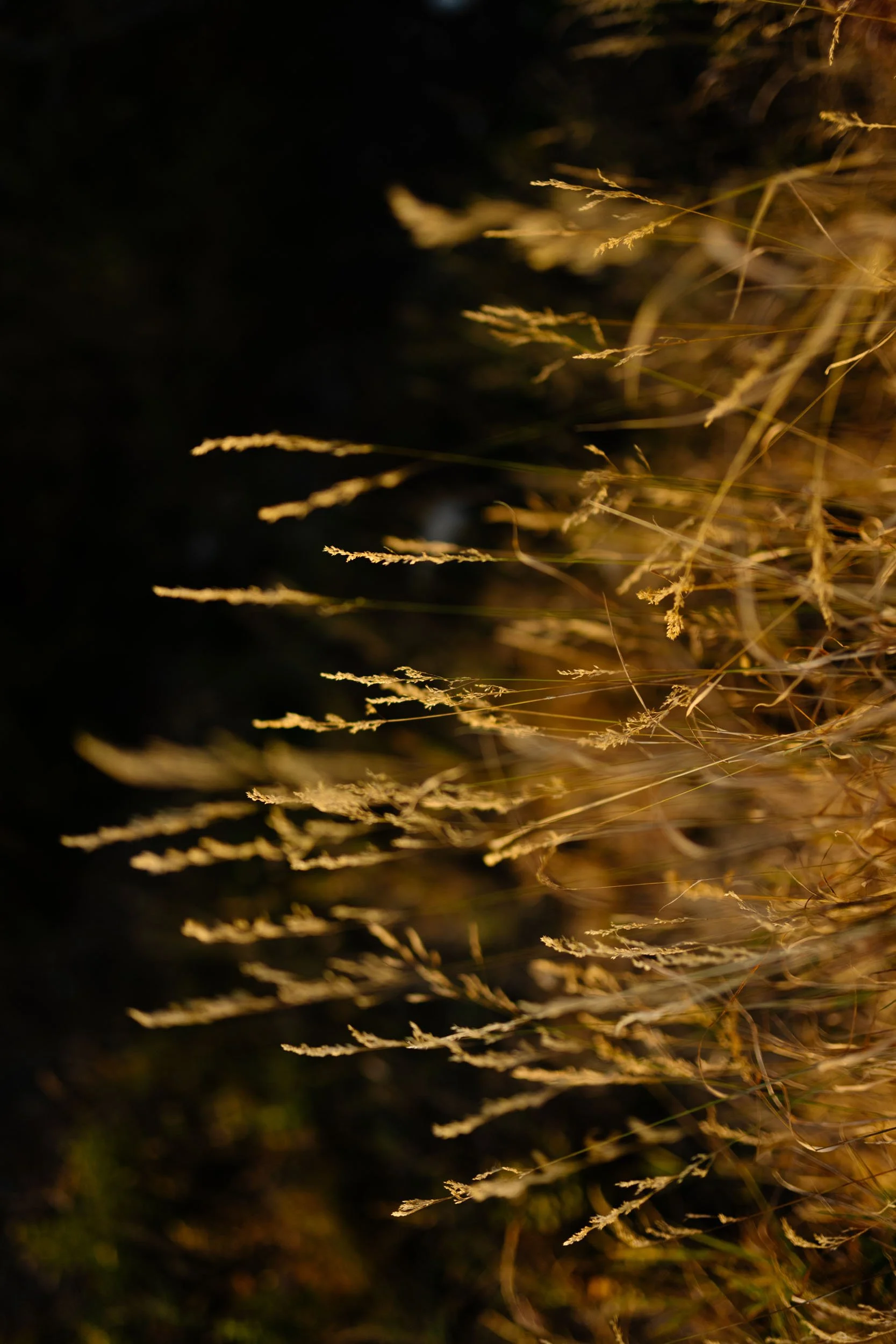 Florian_Wenzel_Photographer_Ulm_Autumn_Alps_36.jpg