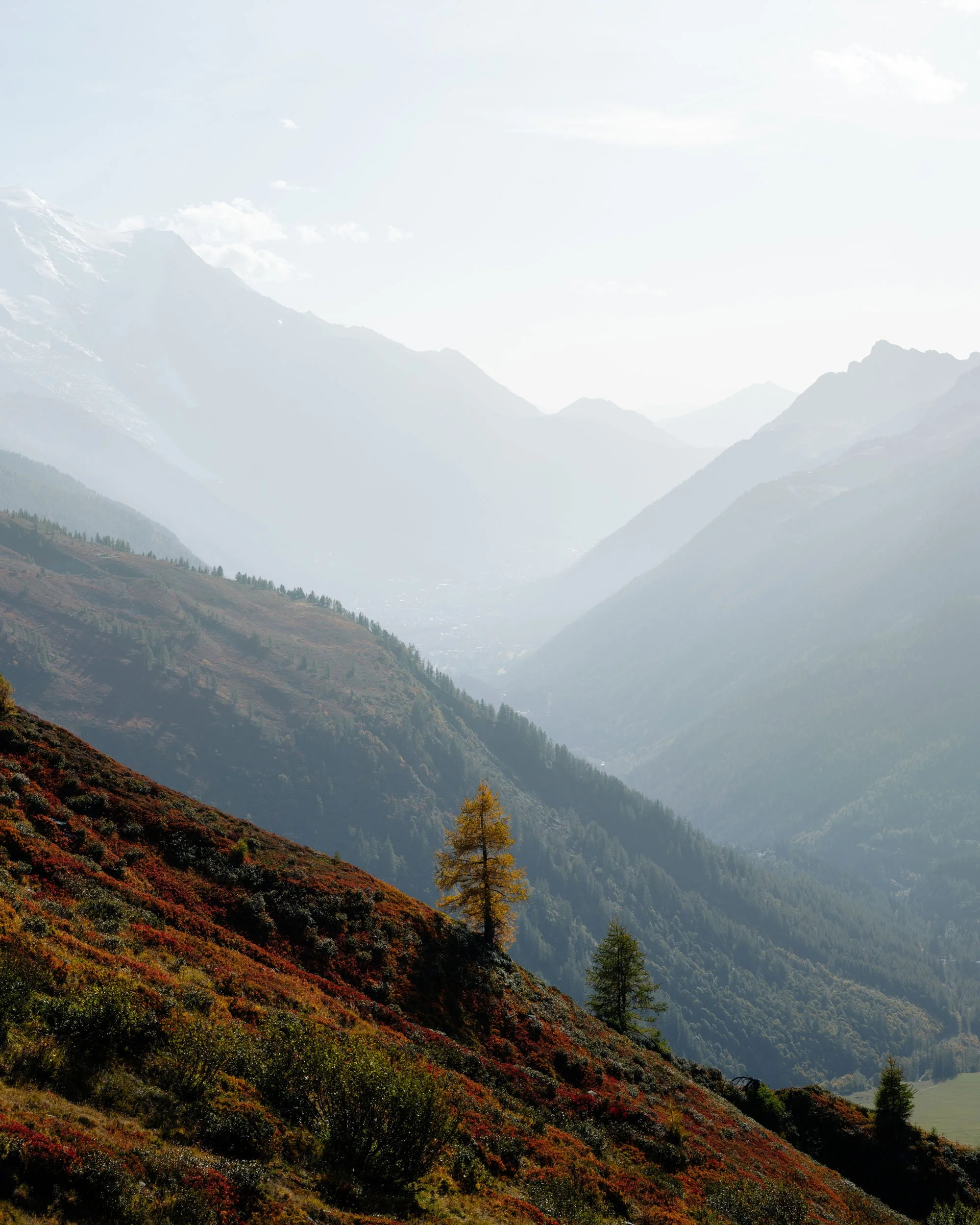 Florian_Wenzel_Photographer_Ulm_Autumn_Alps_38.jpg