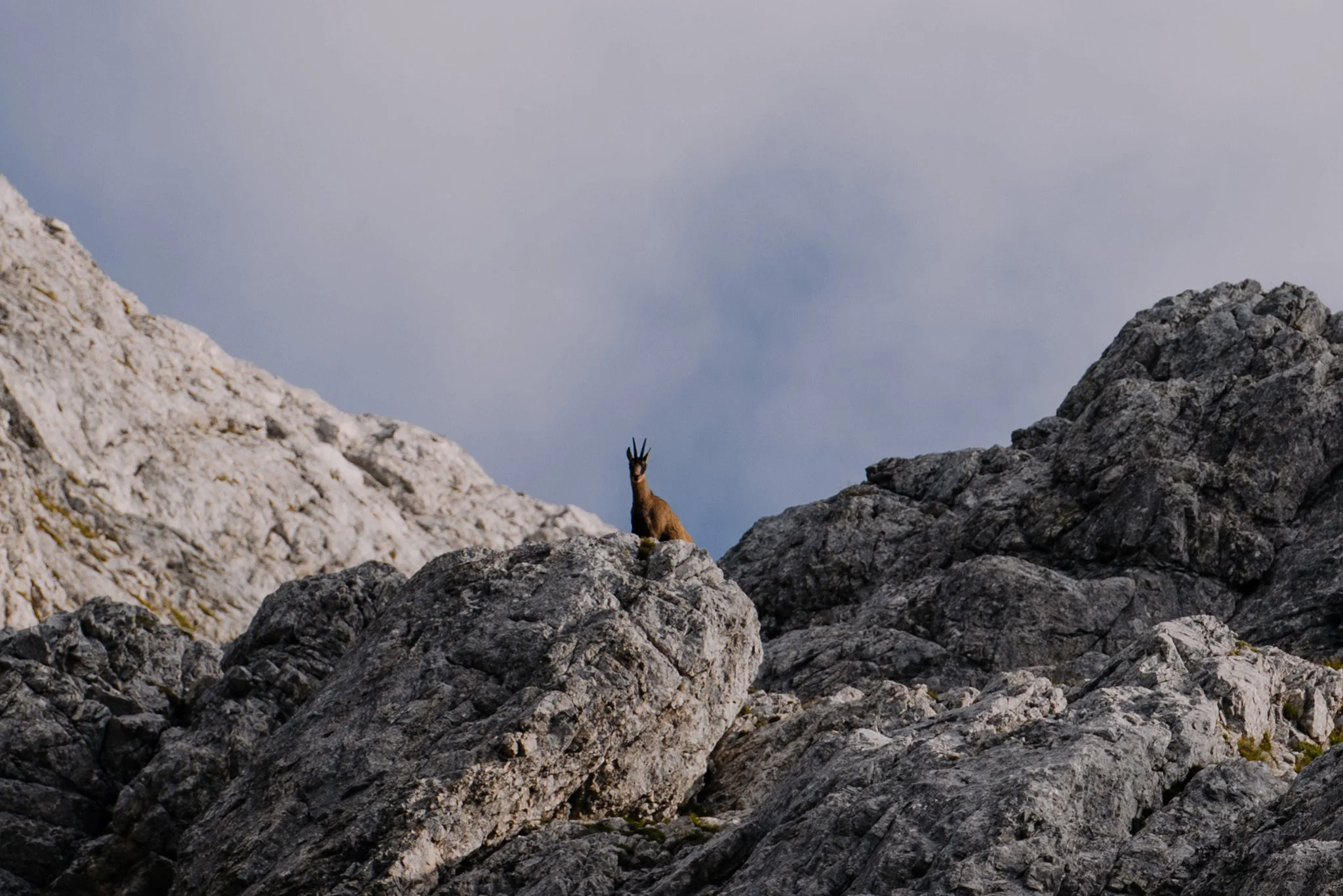 Florian_Wenzel_Photographer_Ulm_Slovenia - 03.jpg
