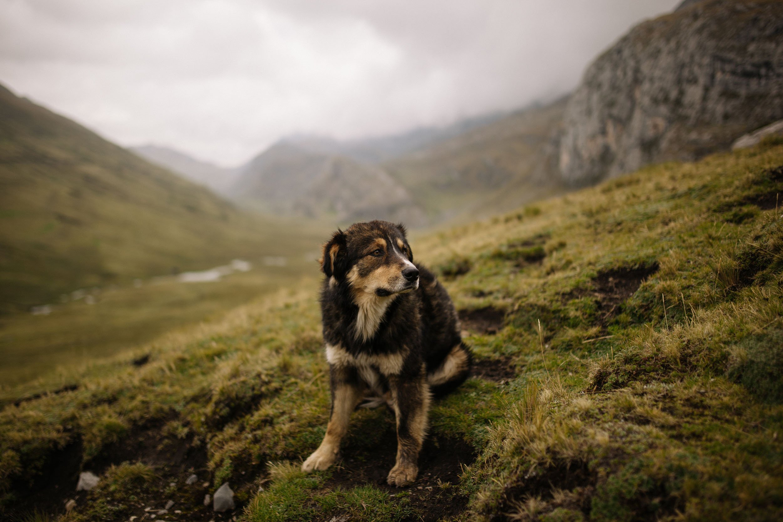Florian_Wenzel_Photographer_Ulm_Peru_09.jpg