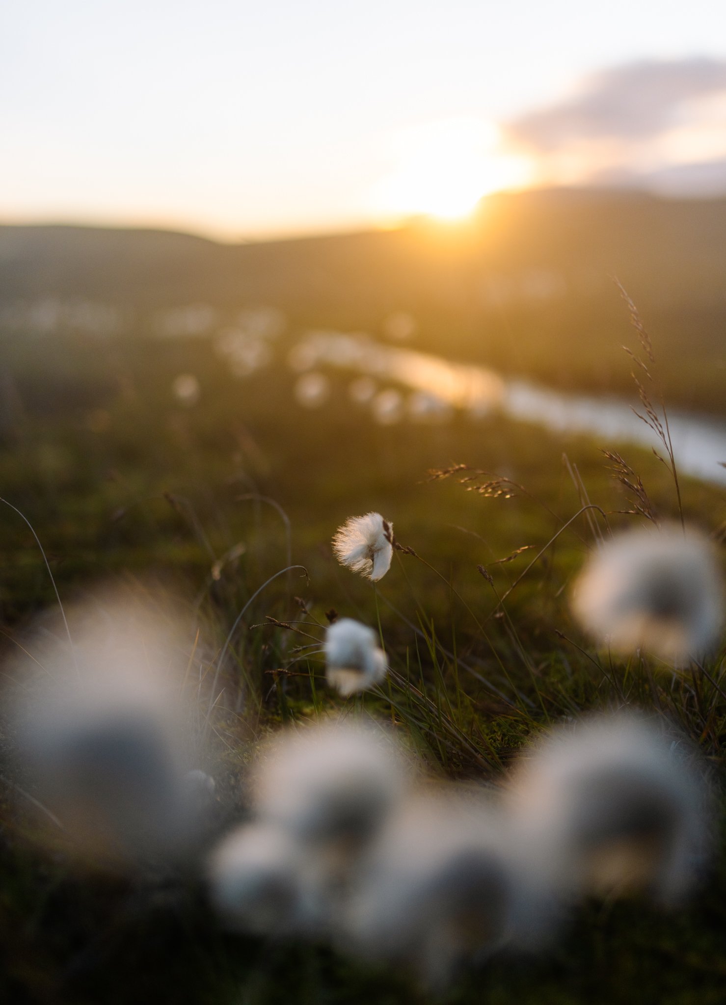 Florian_Wenzel_Photographer_Ulm_Iceland - 22.jpg