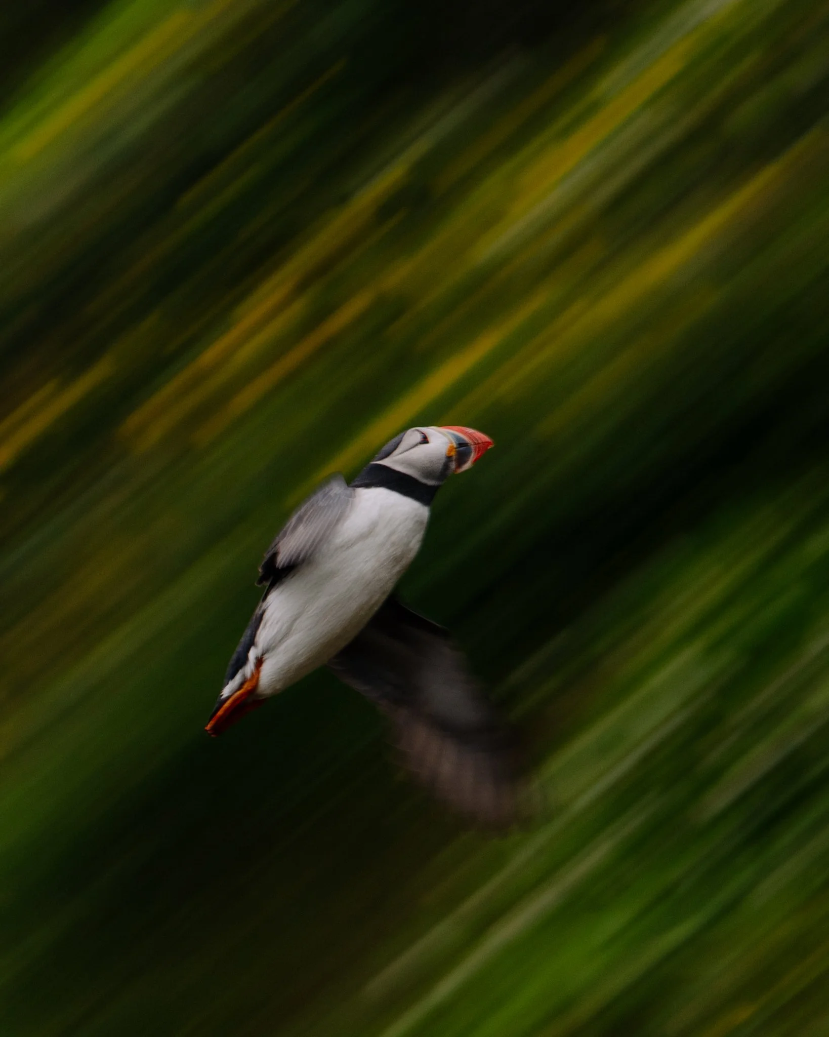 Florian_Wenzel_Photographer_Ulm_Iceland - 01.jpg