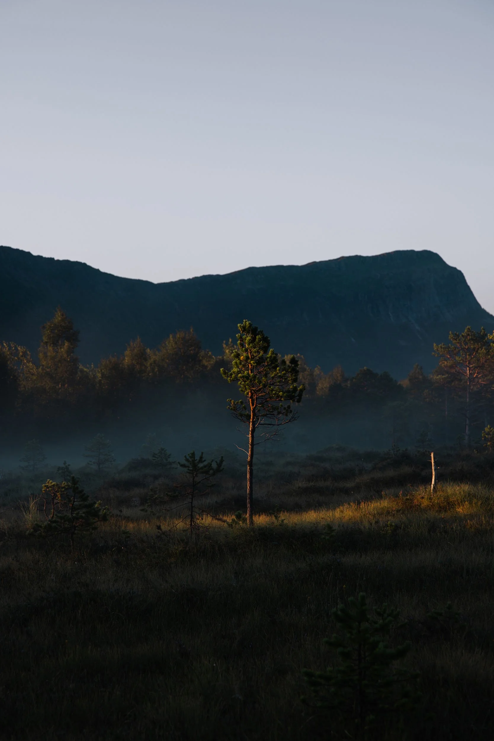 Florian_Wenzel_Photographer_Ulm_Norway_19.jpg