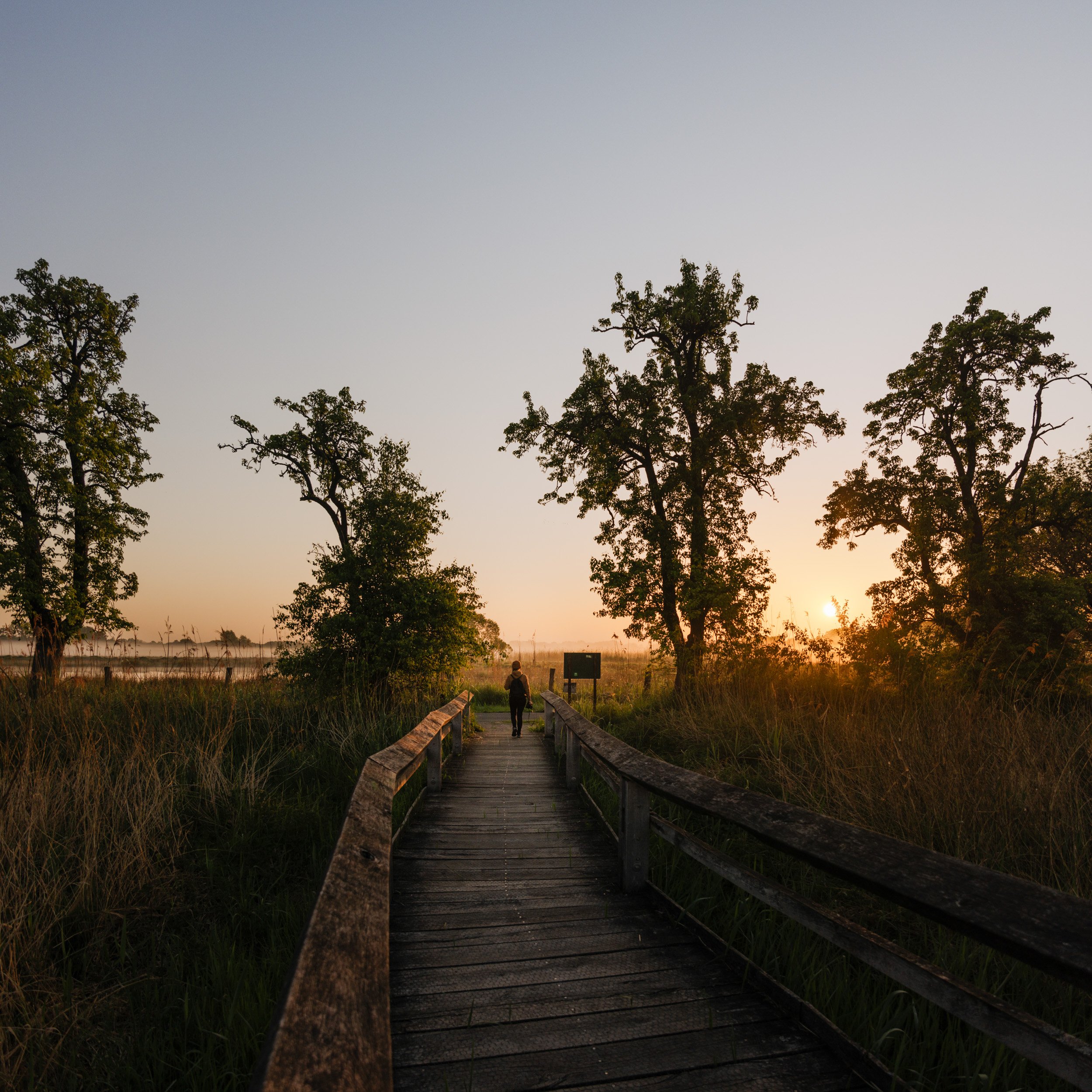 Florian_Wenzel_Photographer_Münsterland_35.jpg