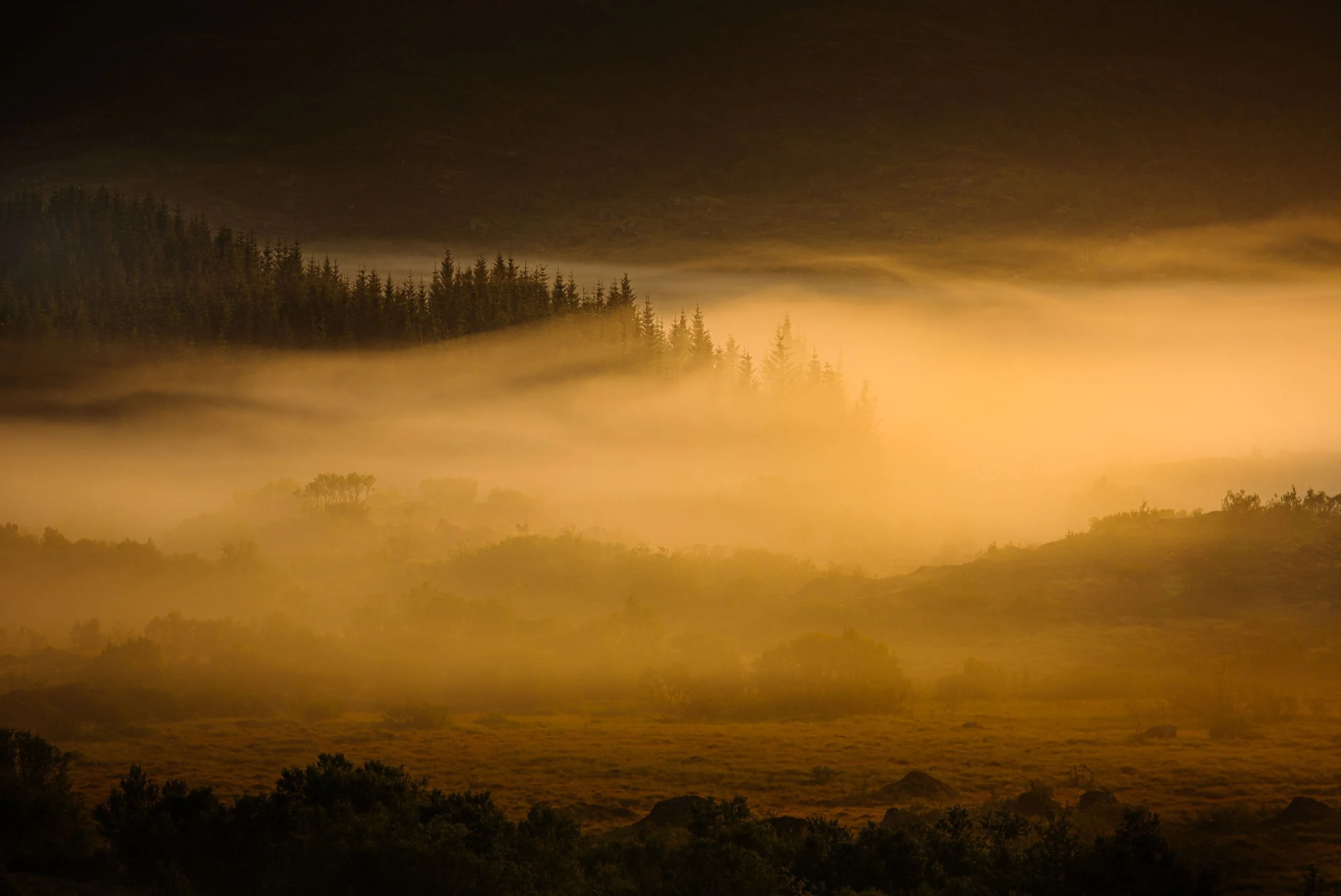 Florian_Wenzel_Photographer_Ulm_Norway_28.jpg