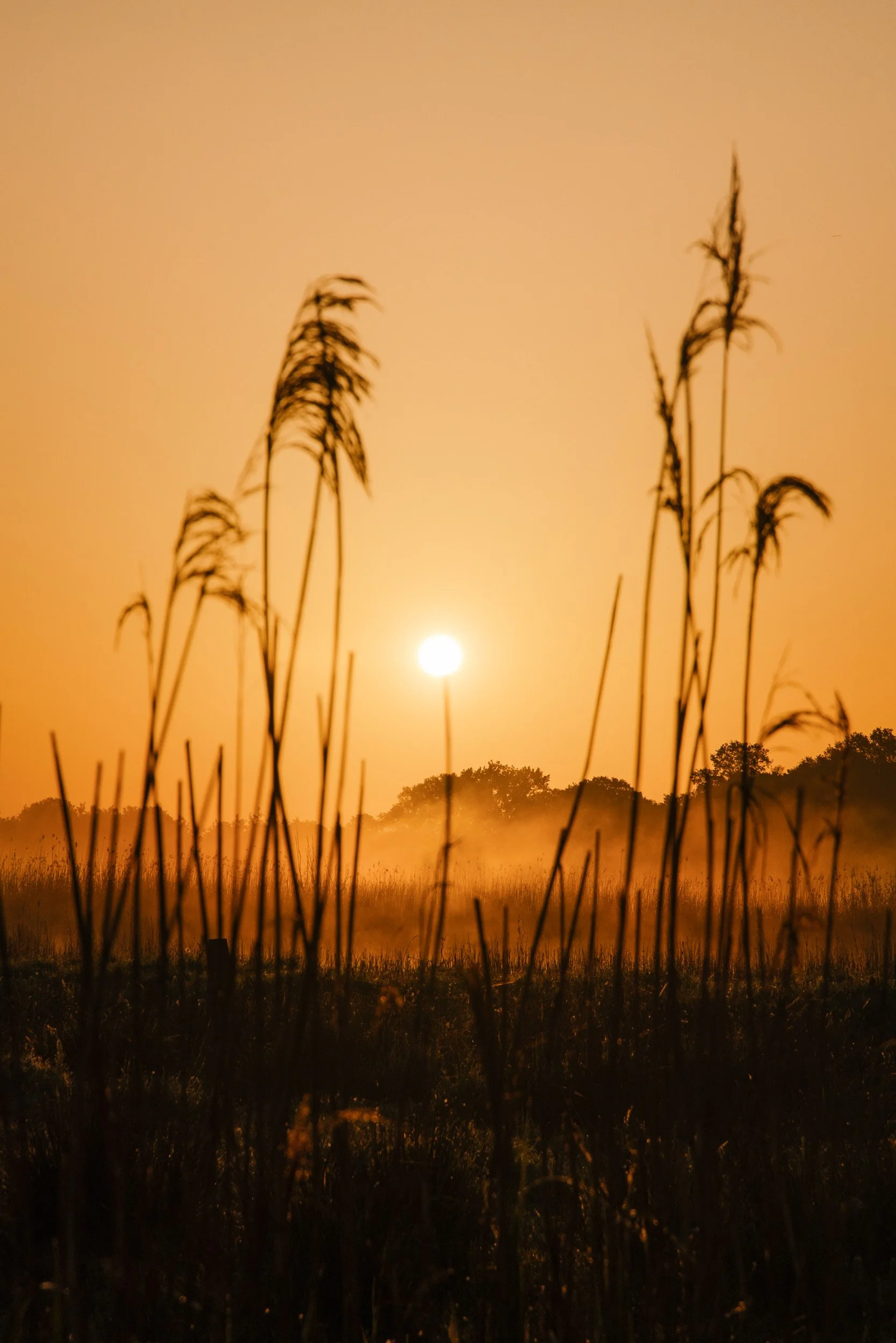 Florian_Wenzel_Photographer_Münsterland_36.jpg