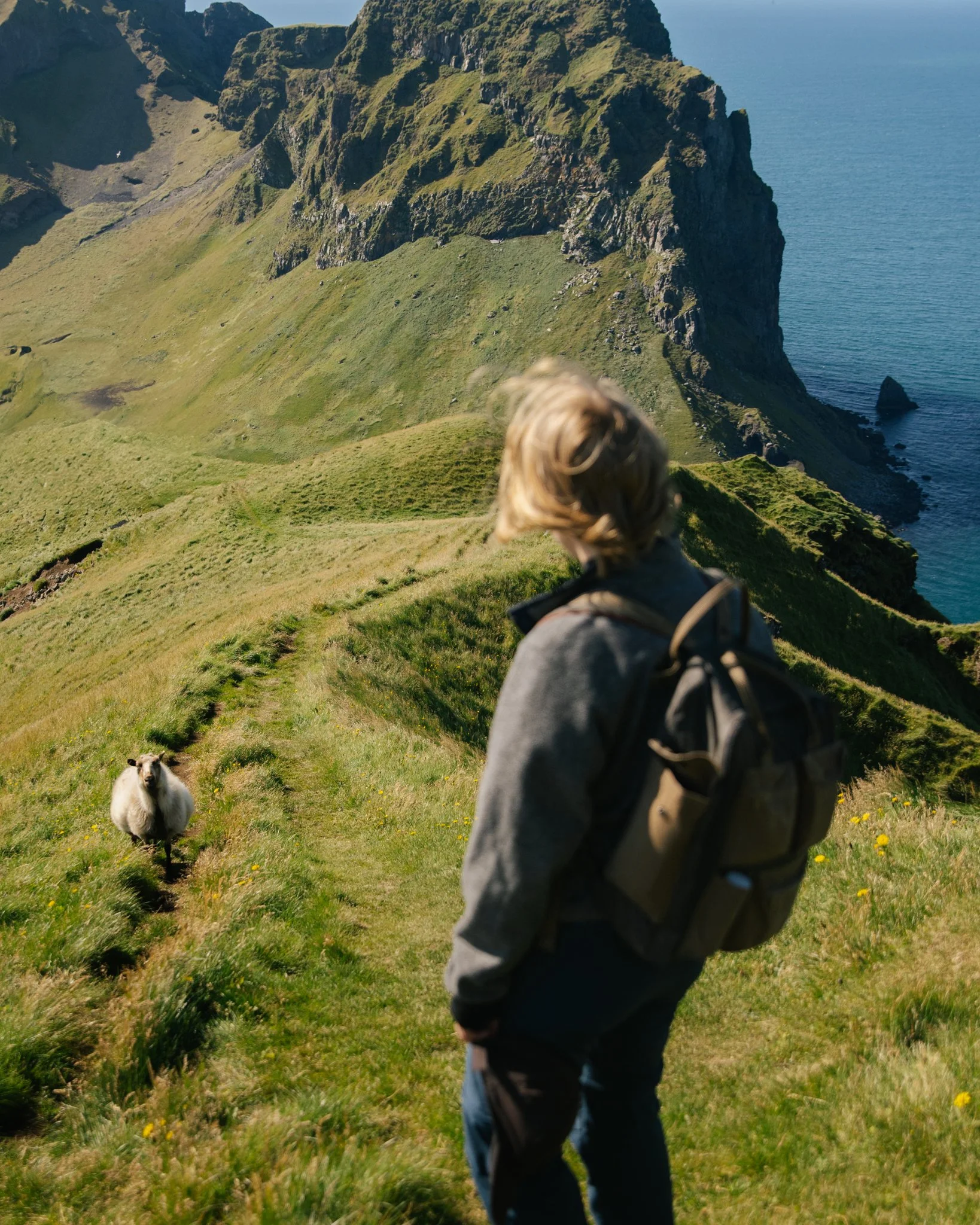 Florian_Wenzel_Photographer_Ulm_Iceland - 37.jpg