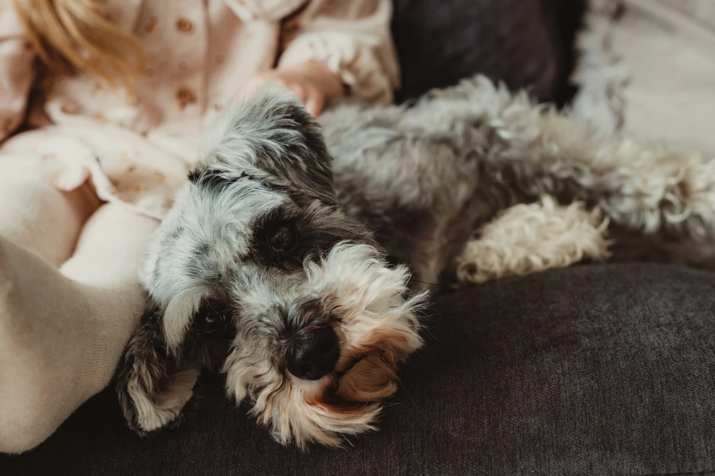 Holly, Freddie, Poppy and Rory-14.jpg