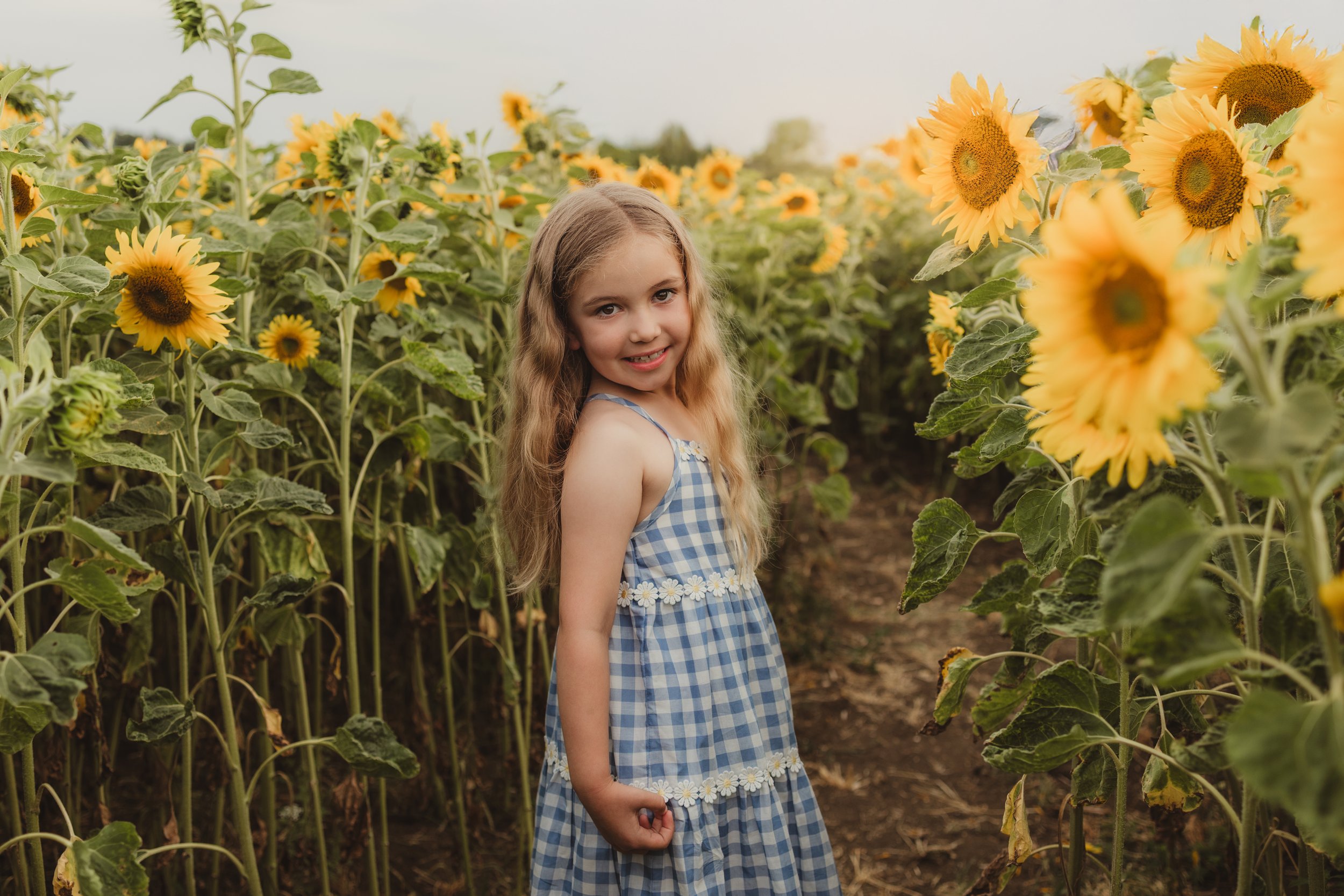 Hollie, Ed, Ashley and Theo sunflowers-11.jpg