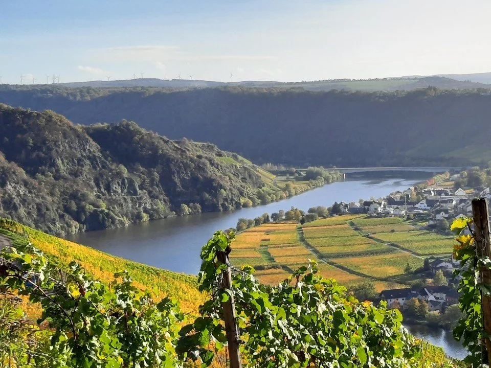 Moseltal Herbst.jpg