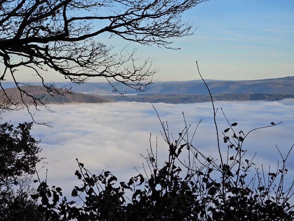 Nebel 2.jpg
