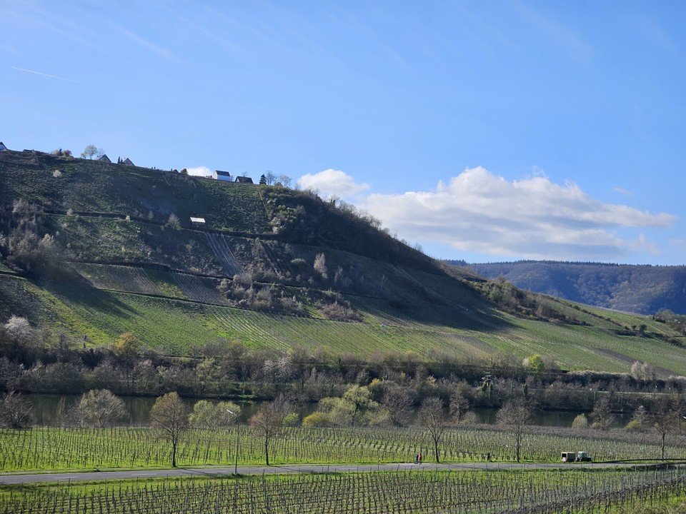 Mosel.jpg