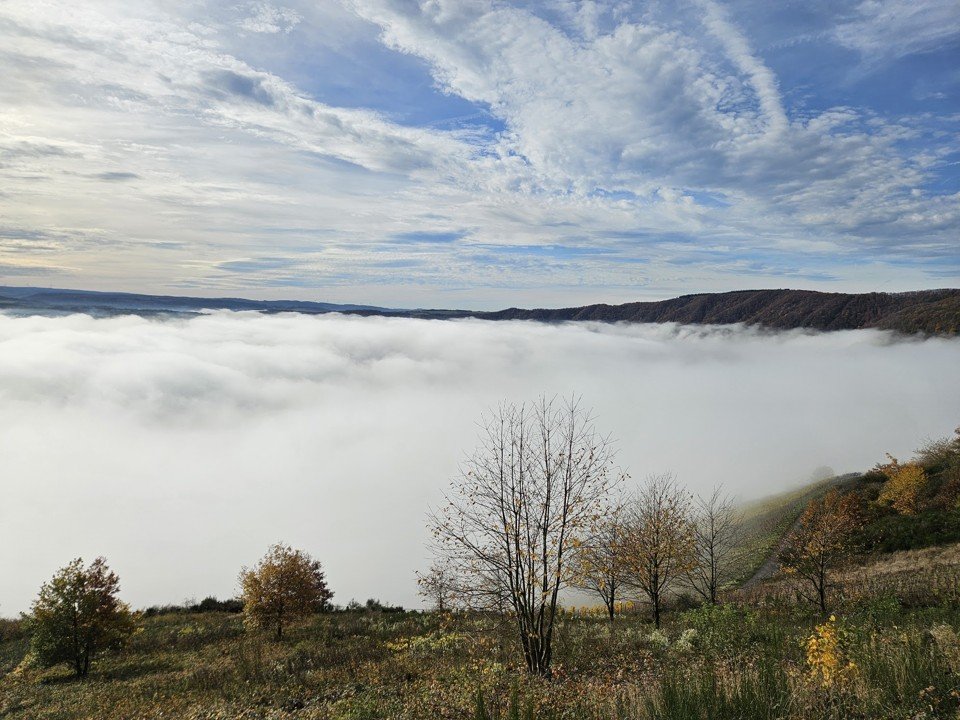 Nebel.jpg