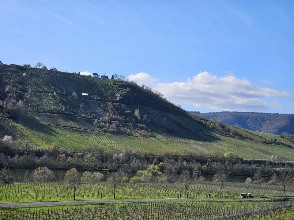Mosel.jpg