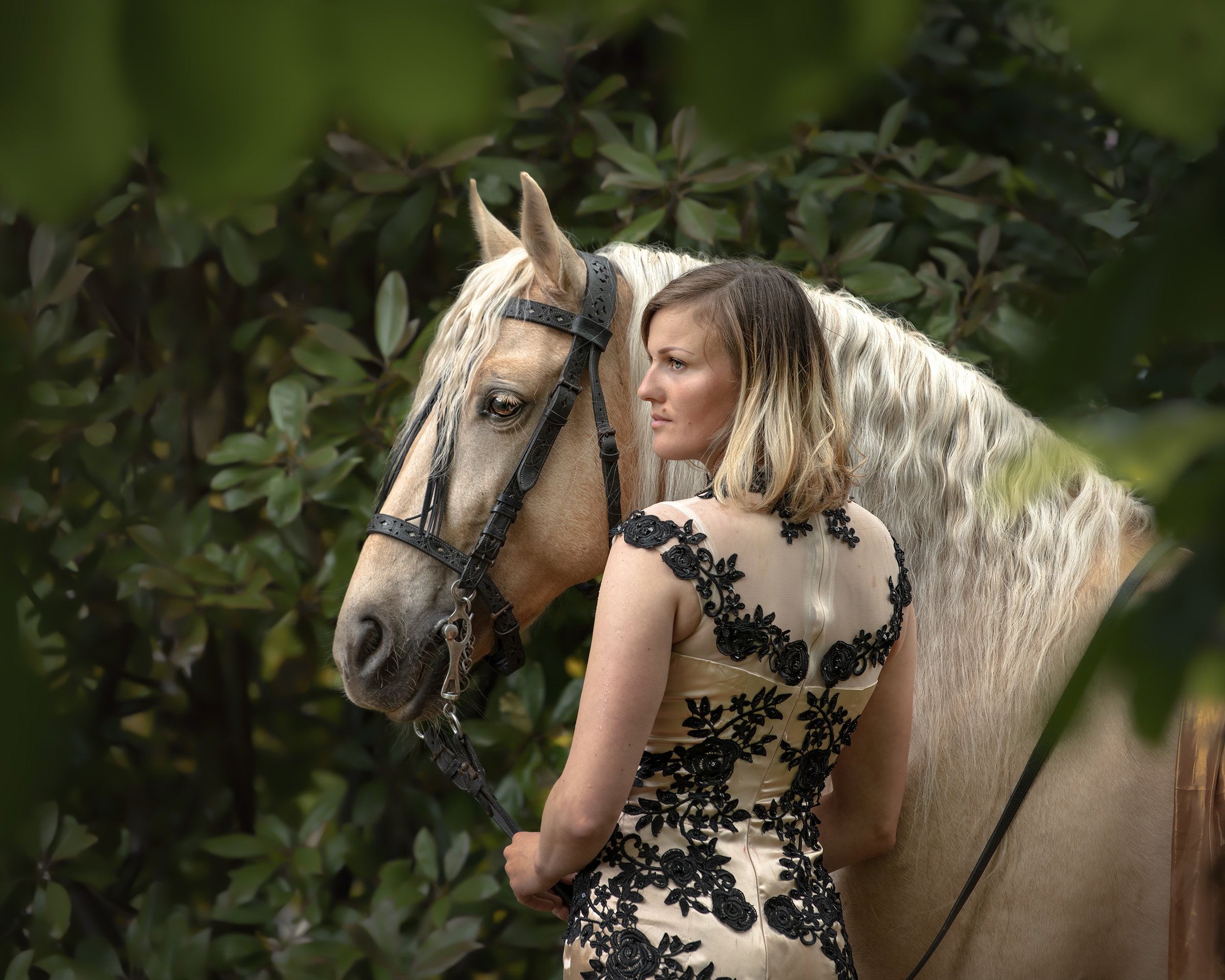 Photo of a horse and woman