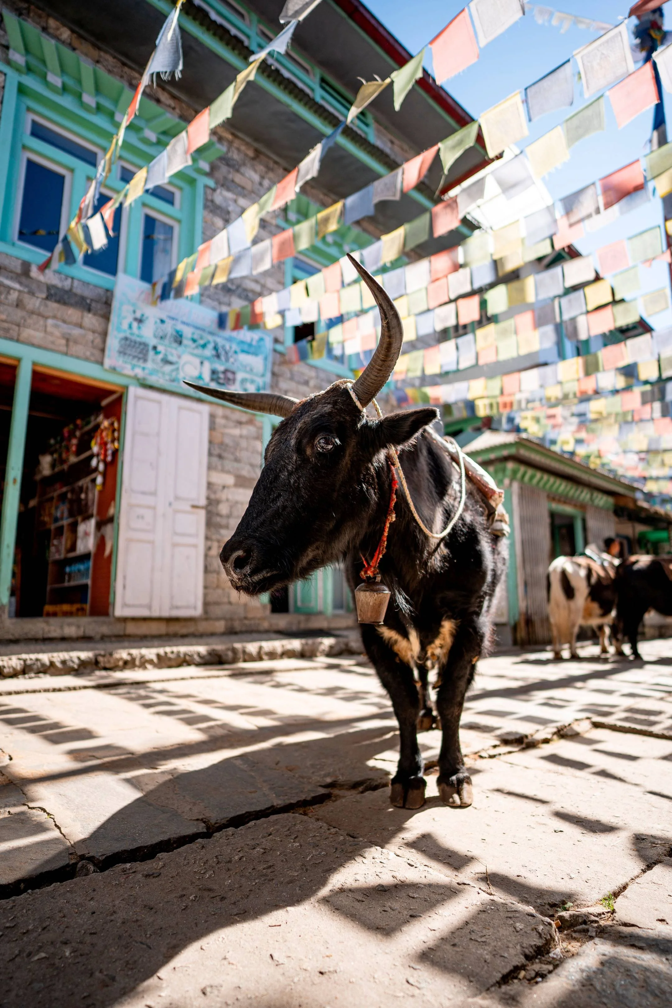 2025-10-21; 10-05Uhr; Nepal-2.jpg