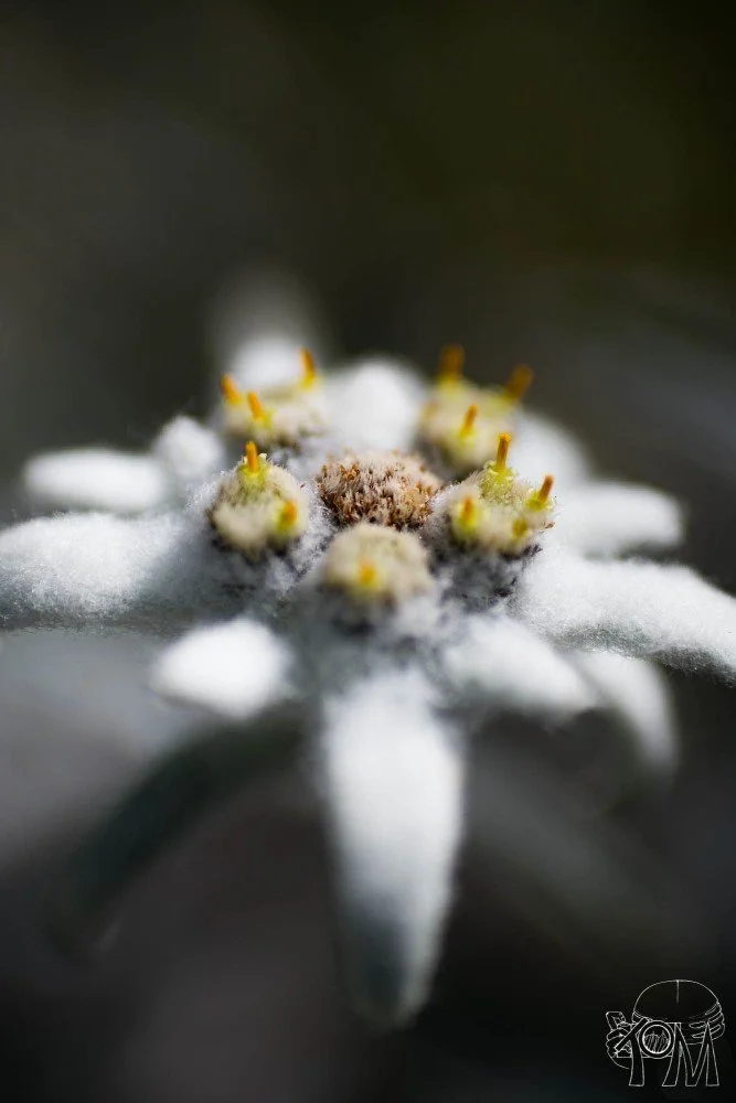 natur_006.jpg