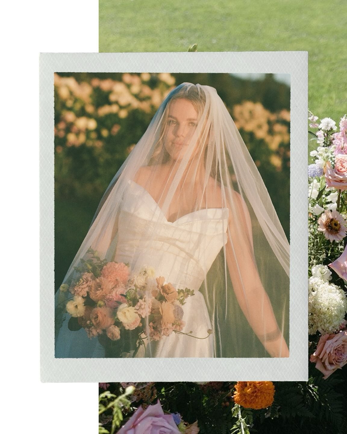 Color, color, and allll the feels 🌸✨

We&rsquo;re talking romantic garden energy meets bold, playful color &mdash; the kind of florals that make your guests stop mid-sentence and say &ldquo;wait&hellip; have you seen these?&rdquo; 💐

If you&rsquo;r