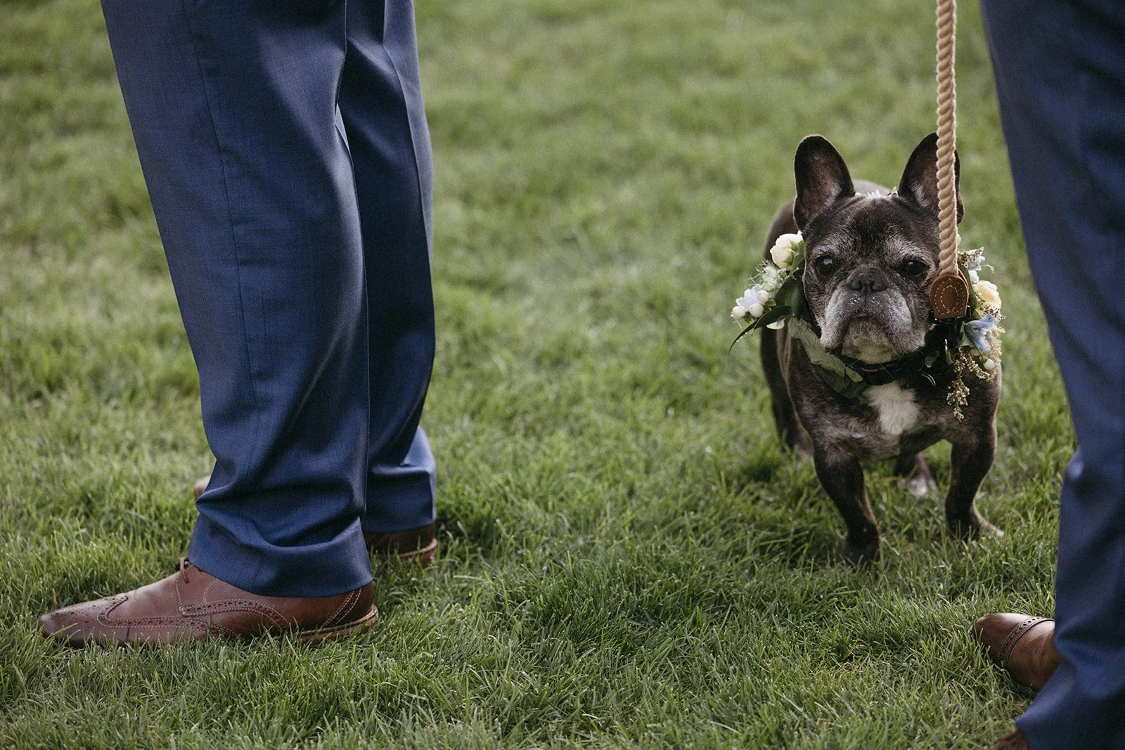 trellisflorals.com | Trellis Flowers Columbia River Gorge  Weddings Hotel Weddings Gorge Crest Ceremonies 2 (2).jpg