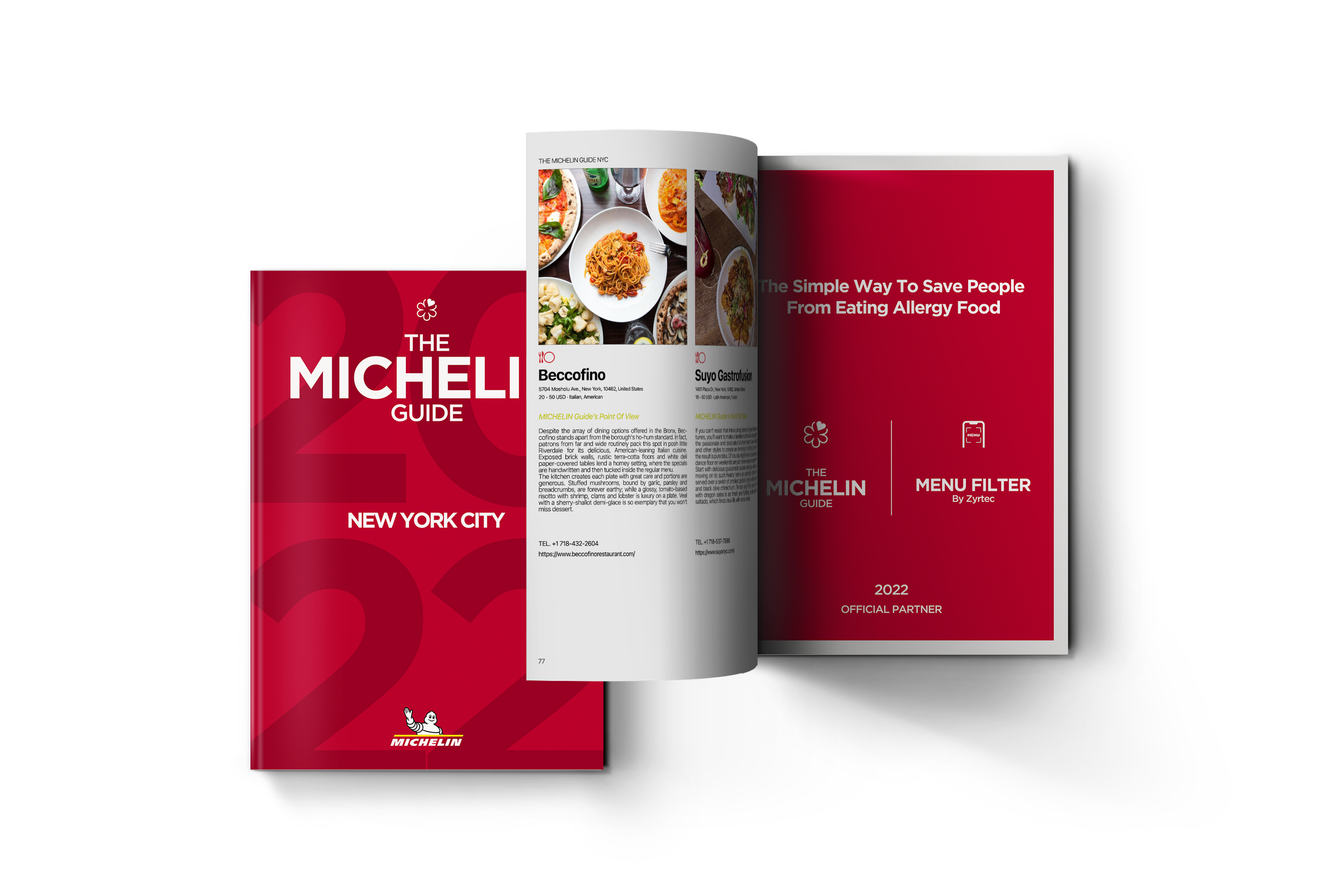 Michelinbook.png