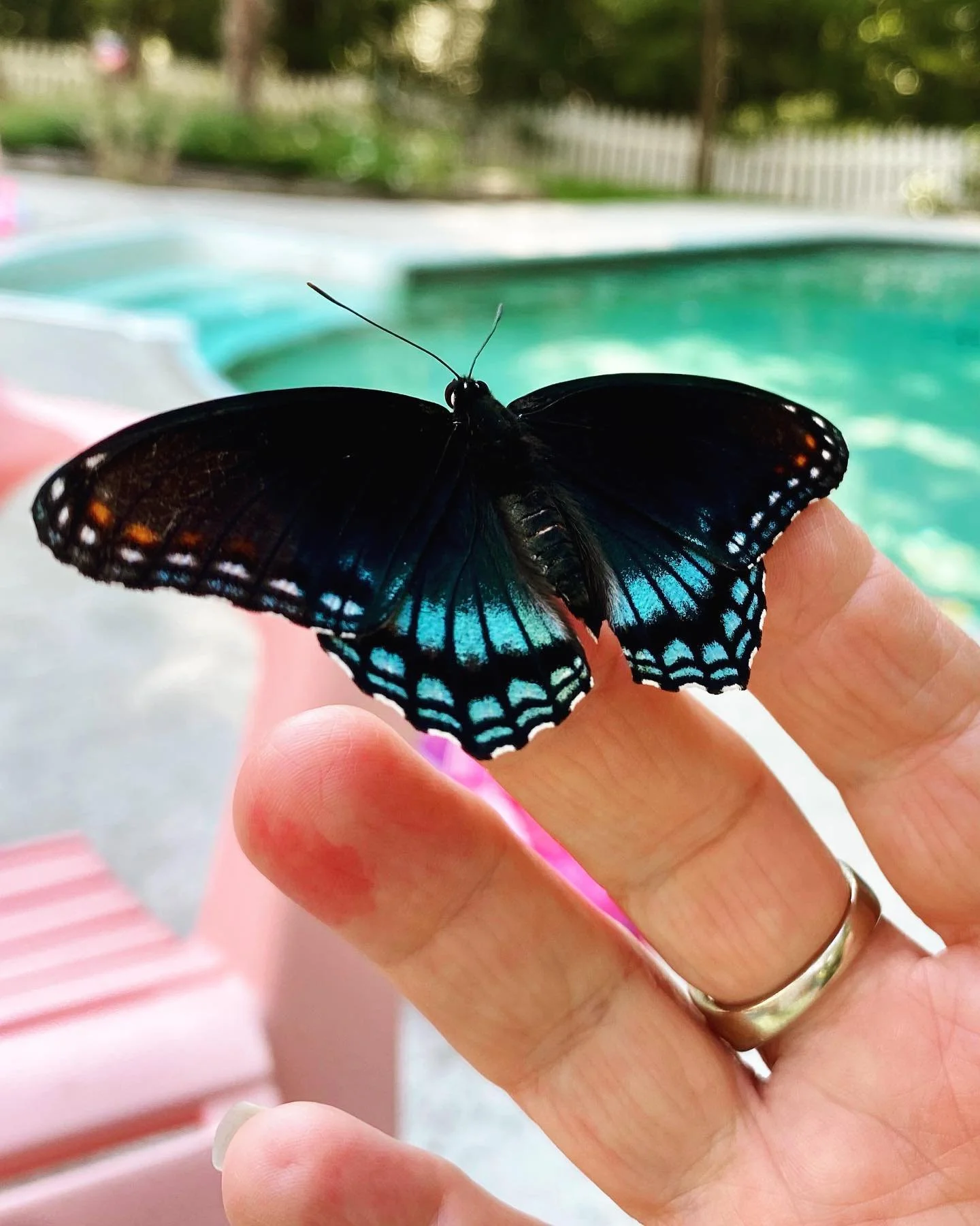 When you stop and get quiet&hellip; magic happens ✨🦋✨
#signs