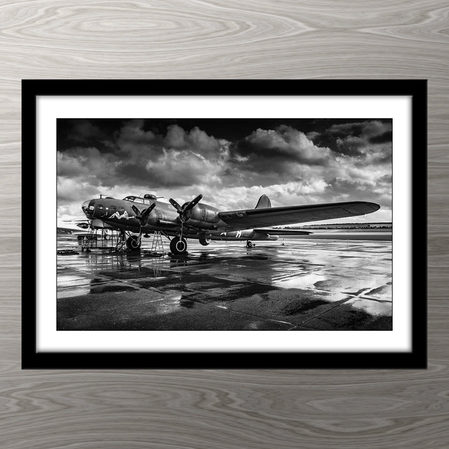 SALLY-B.jpg