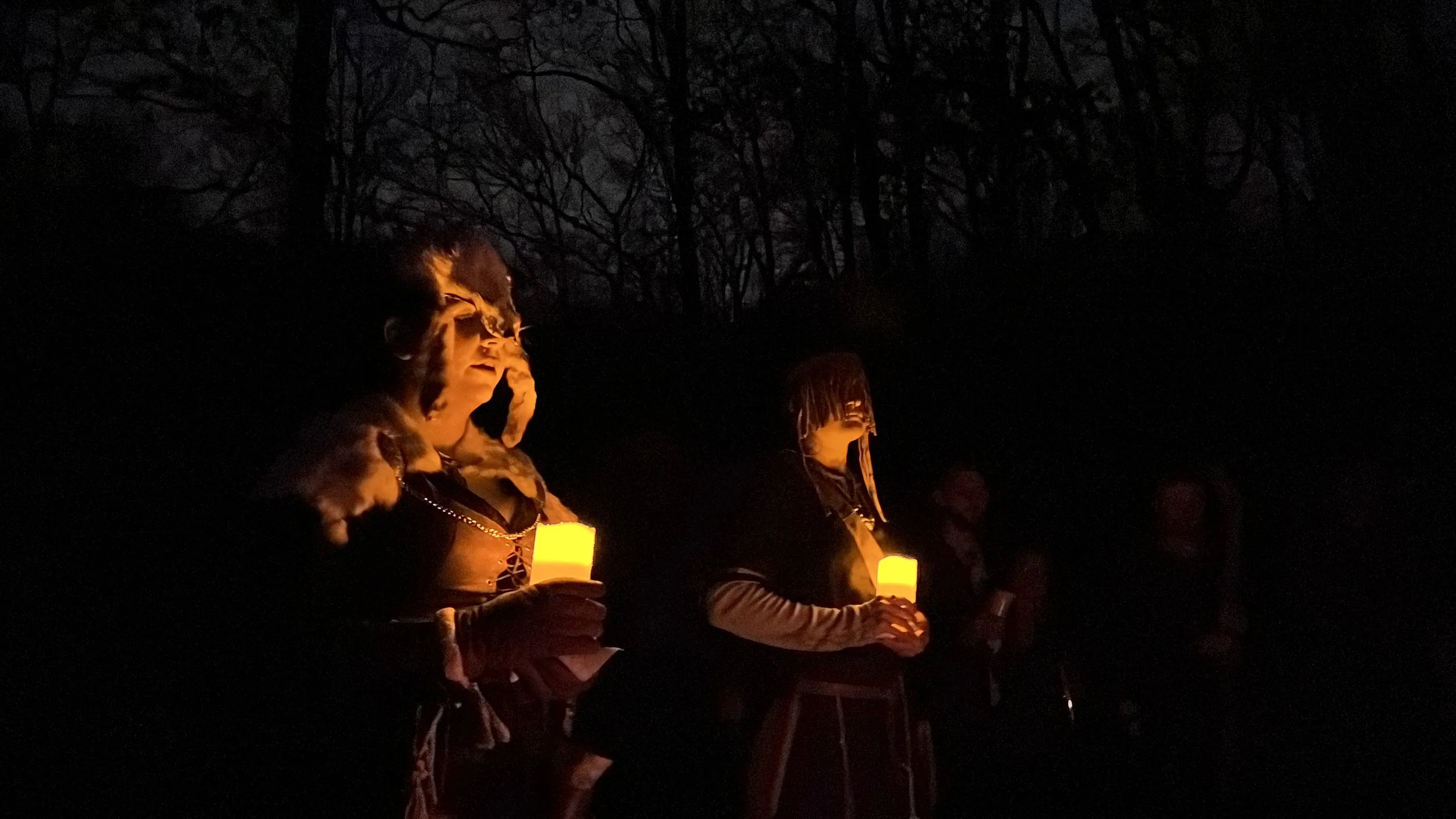 Ritual to the Landvaettir in Ohio 2021