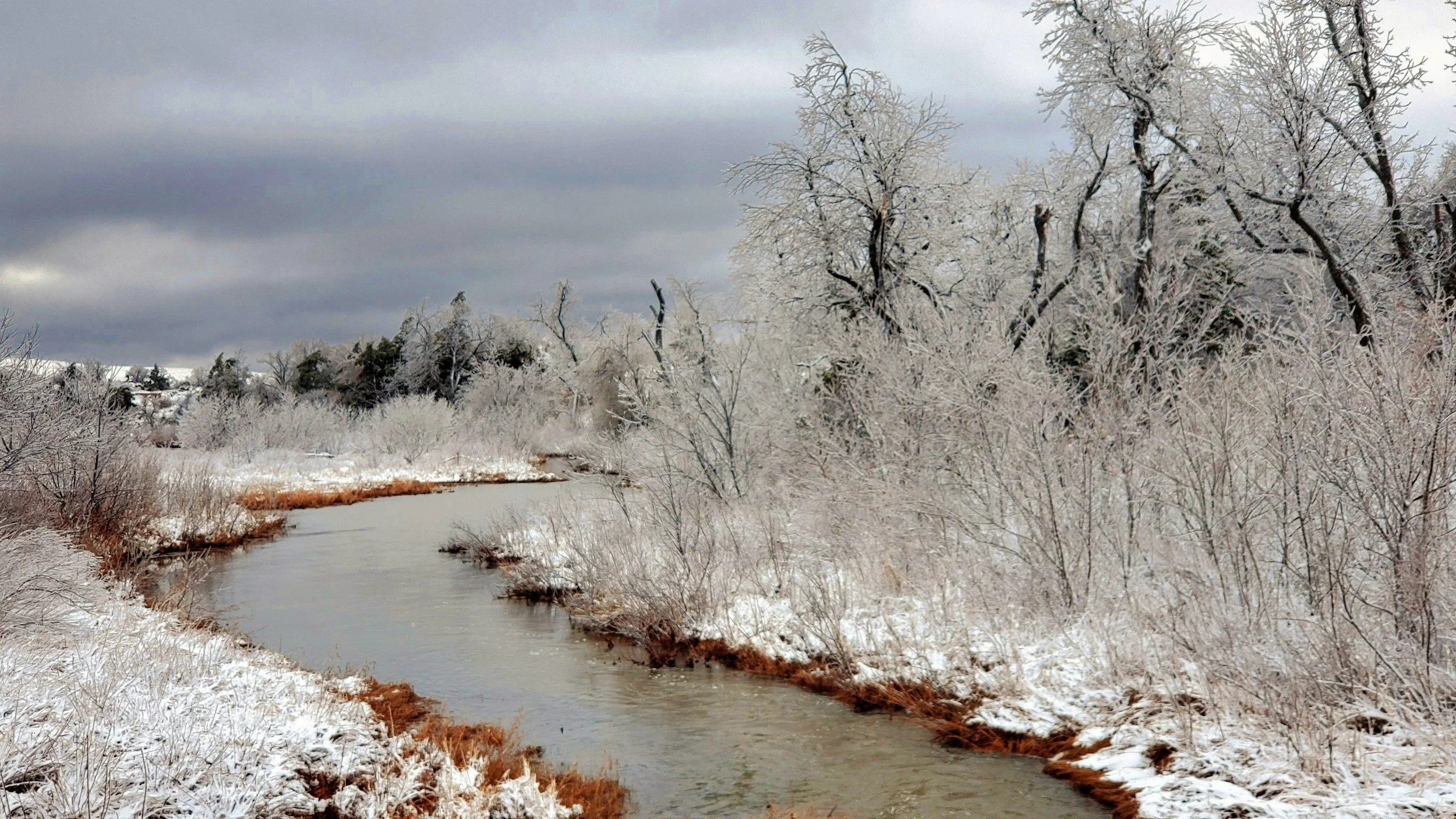 South Central Yule (Oklahoma) 