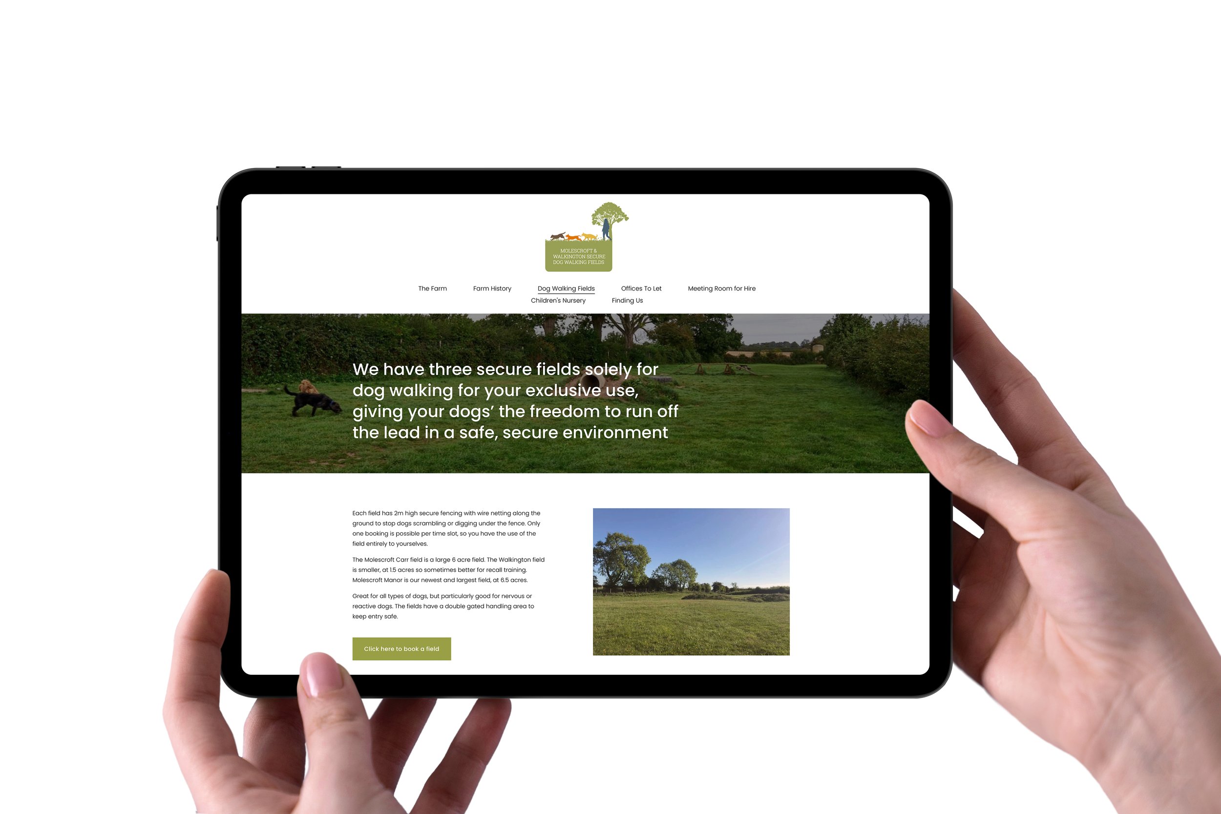 molescroft farm dog walking field website design.jpg