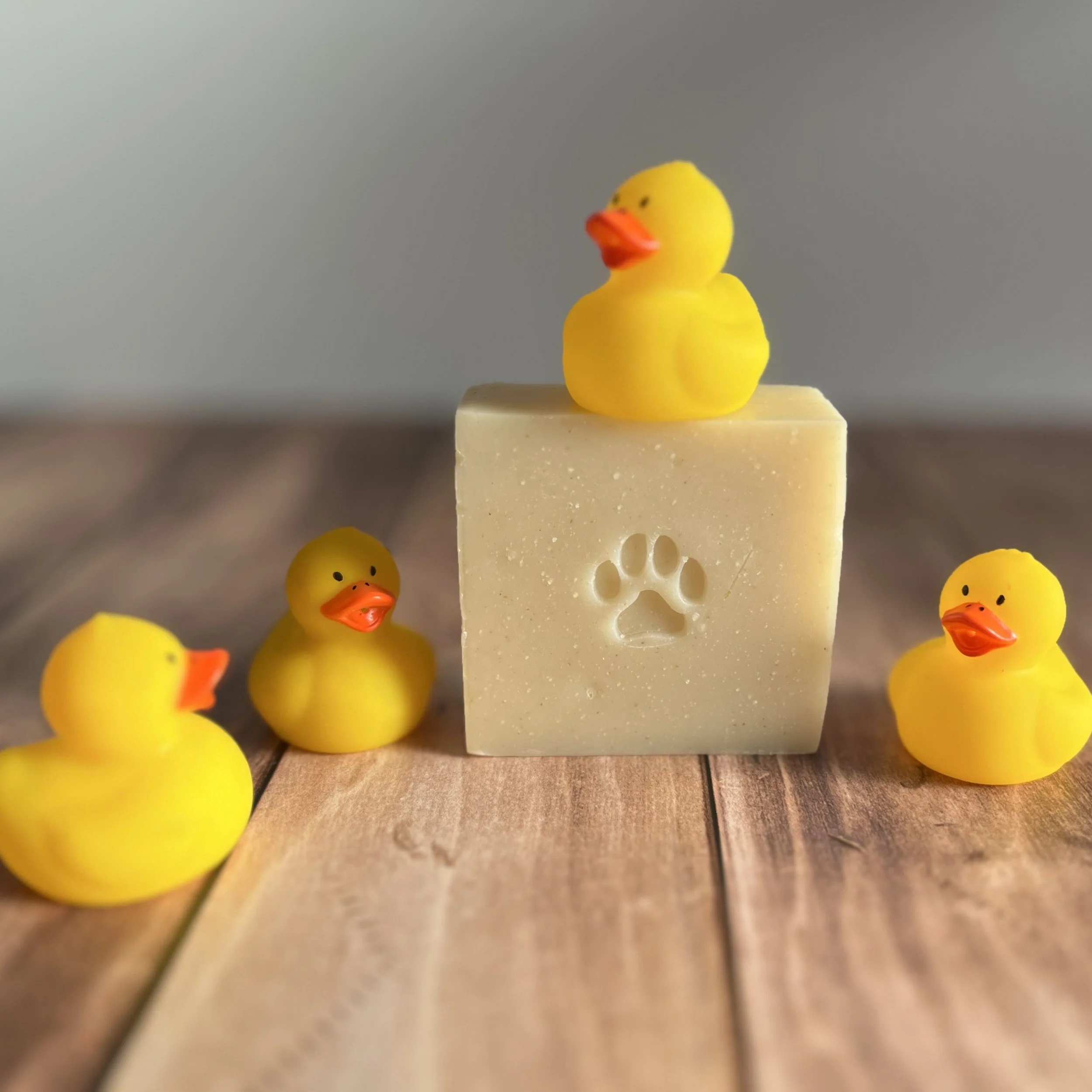 Pet Shampoo Bar with Ducks.2.jpg