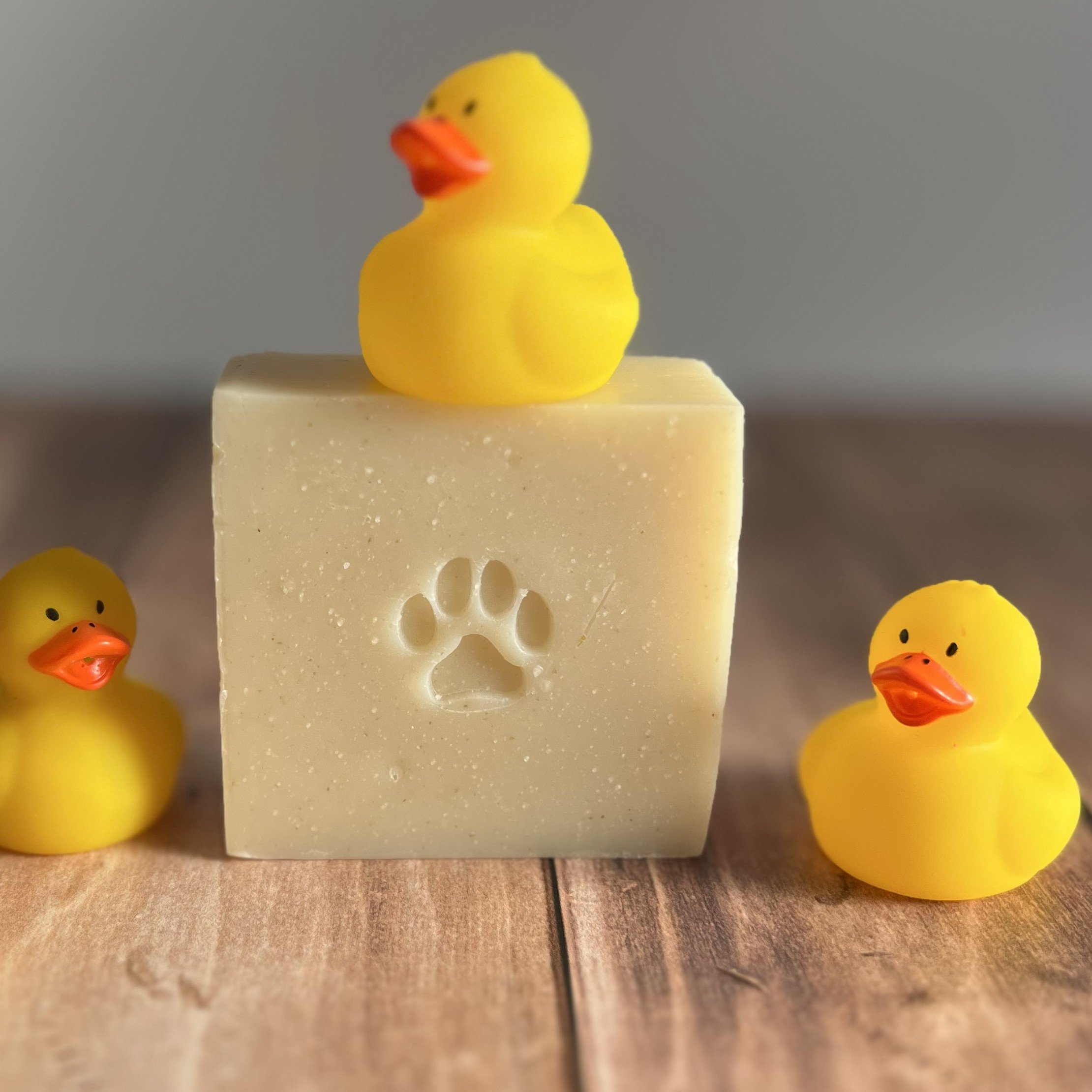 Pet Shampoo with Ducks.1.jpg