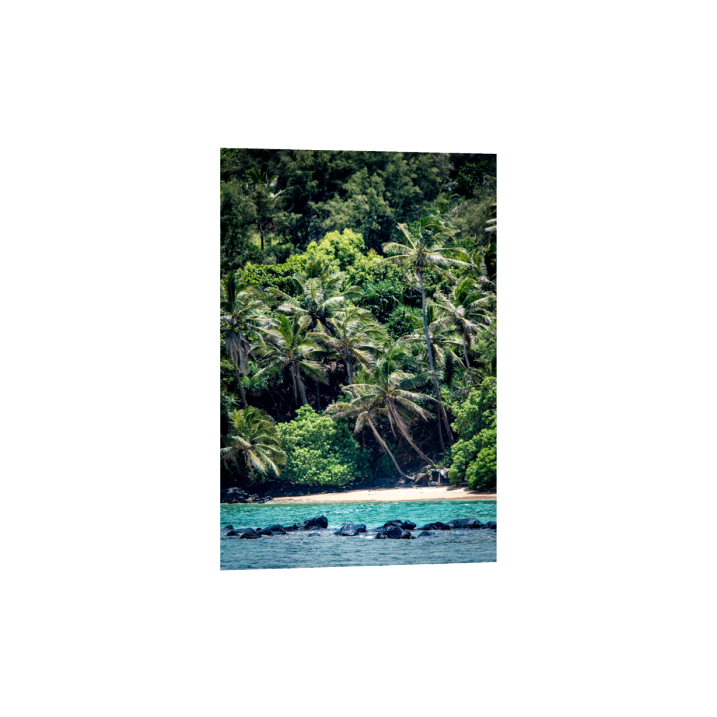 fineartprints_rectangle2_3_0_0_3456_5184_0_false_ffffff_0_0.png