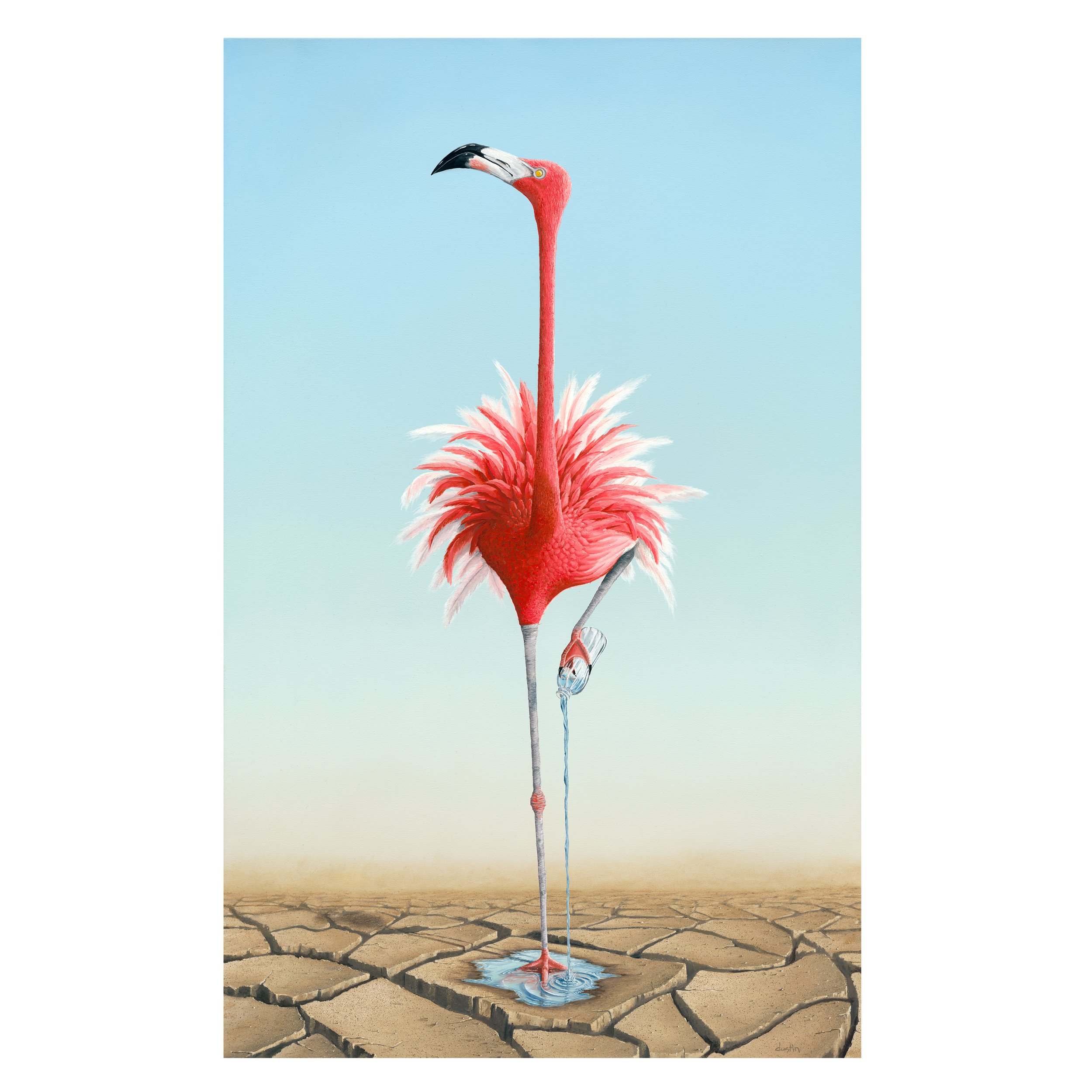 INSOLENT FLAMINGO