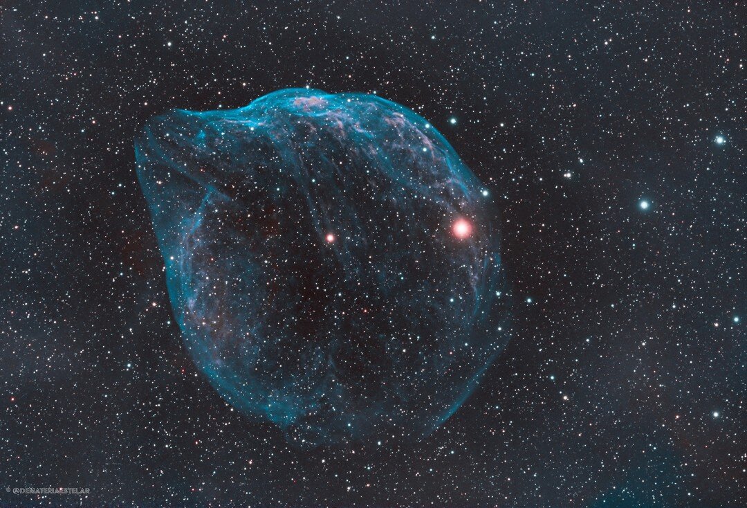 The Dolphin Head Nebula SH2-308 
Blown by fast winds from a hot, massive star, this cosmic bubble is much larger than the dolphin it appears to be. Cataloged as Sharpless 2-308 it lies some 5,200 light-years away toward the constellation of the Big D