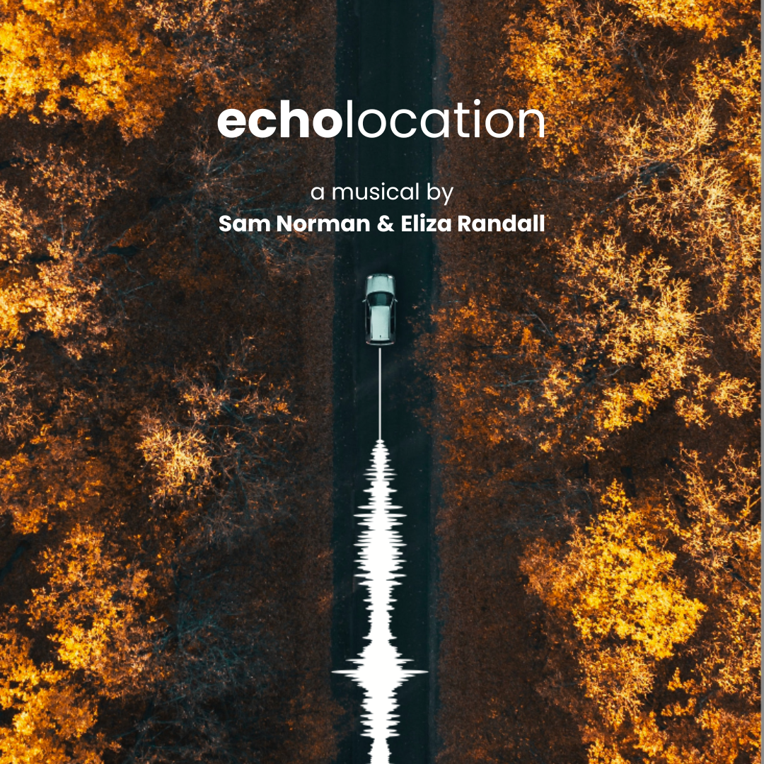 Echolocation