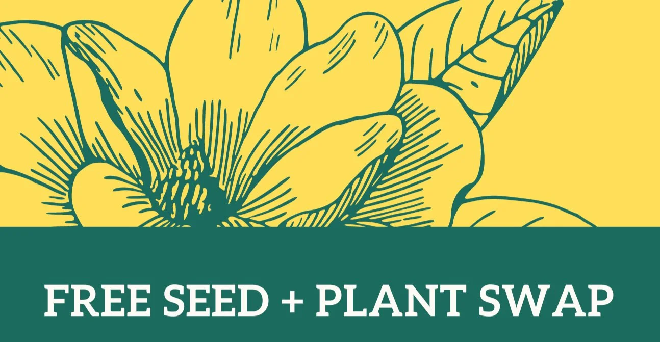Free Seed + Plant Swap