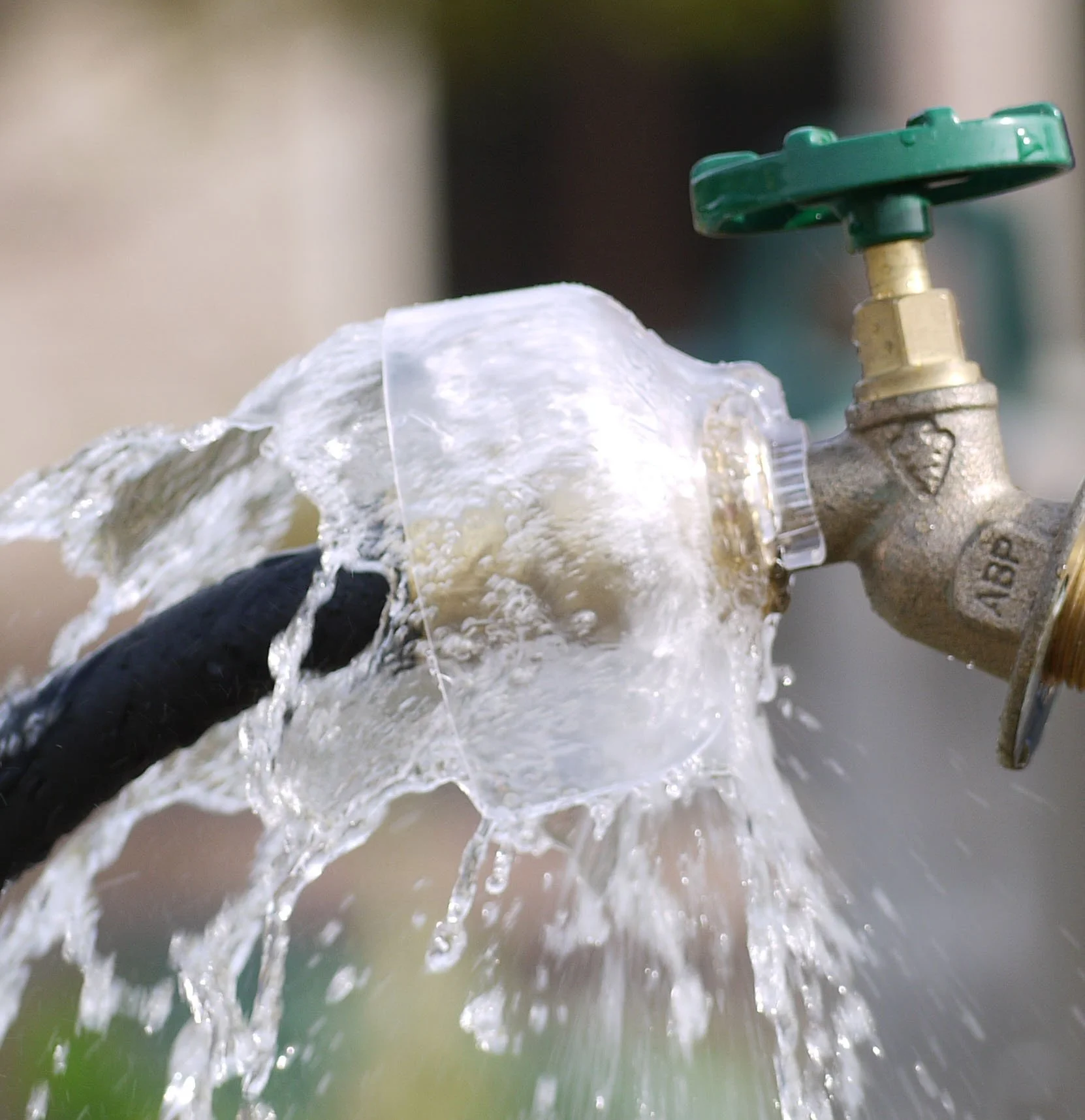 Image of Splash Guppie Guarding Spray