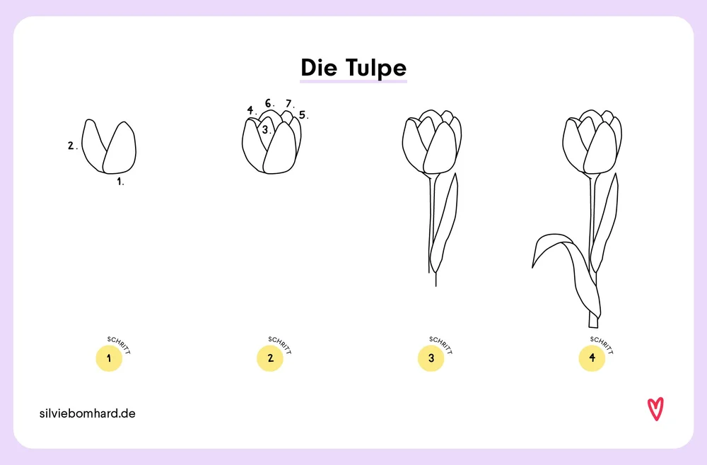 Tulpe Zeichnen Einfach