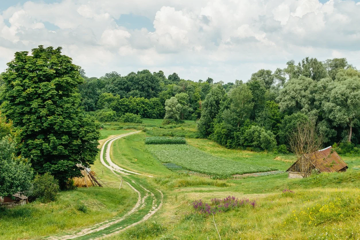 爱，从来就不是被规划出来的