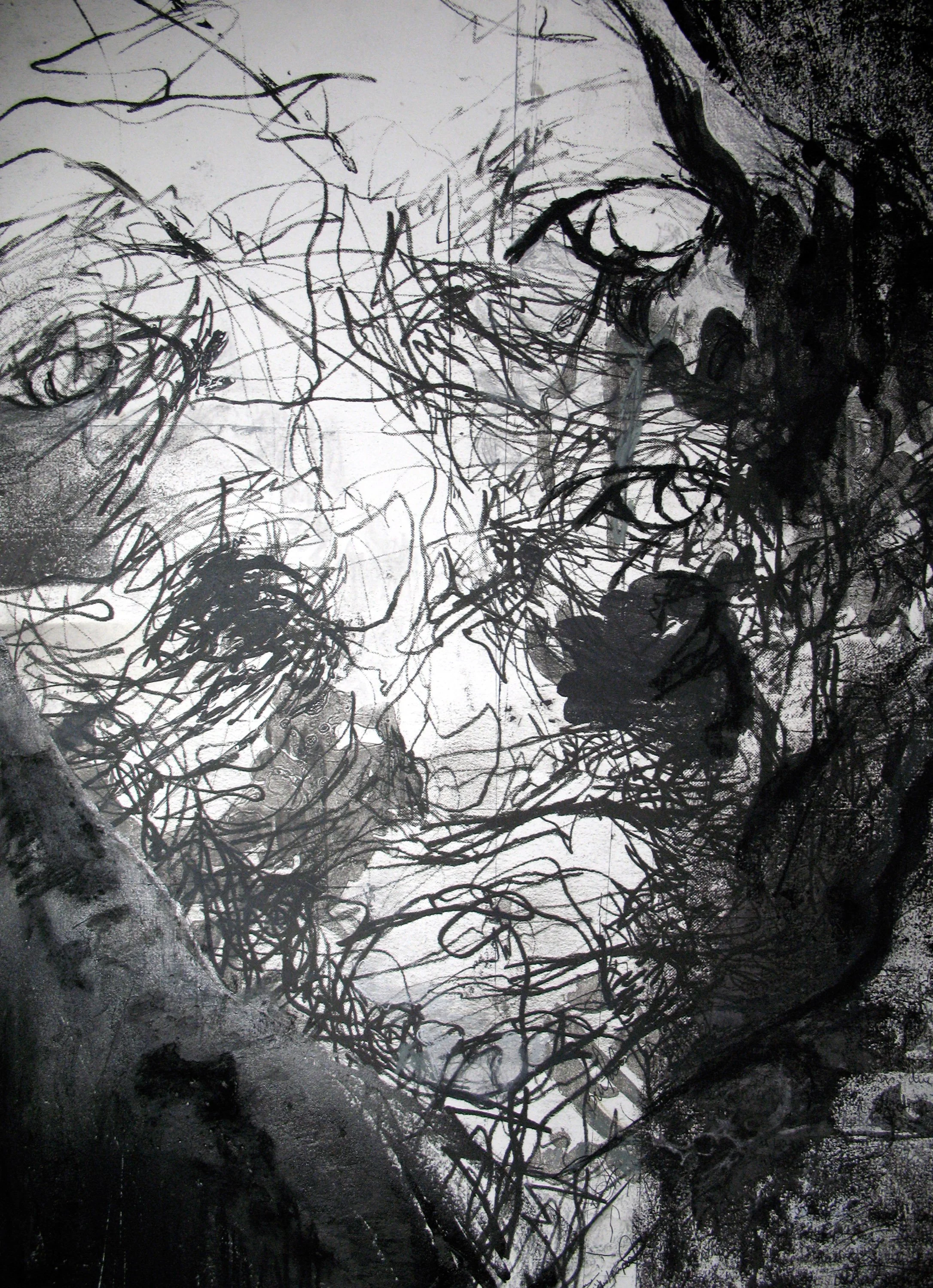 Deteriorate 10, 2006, Lithograph charcoal and ink, 22 x 30 in