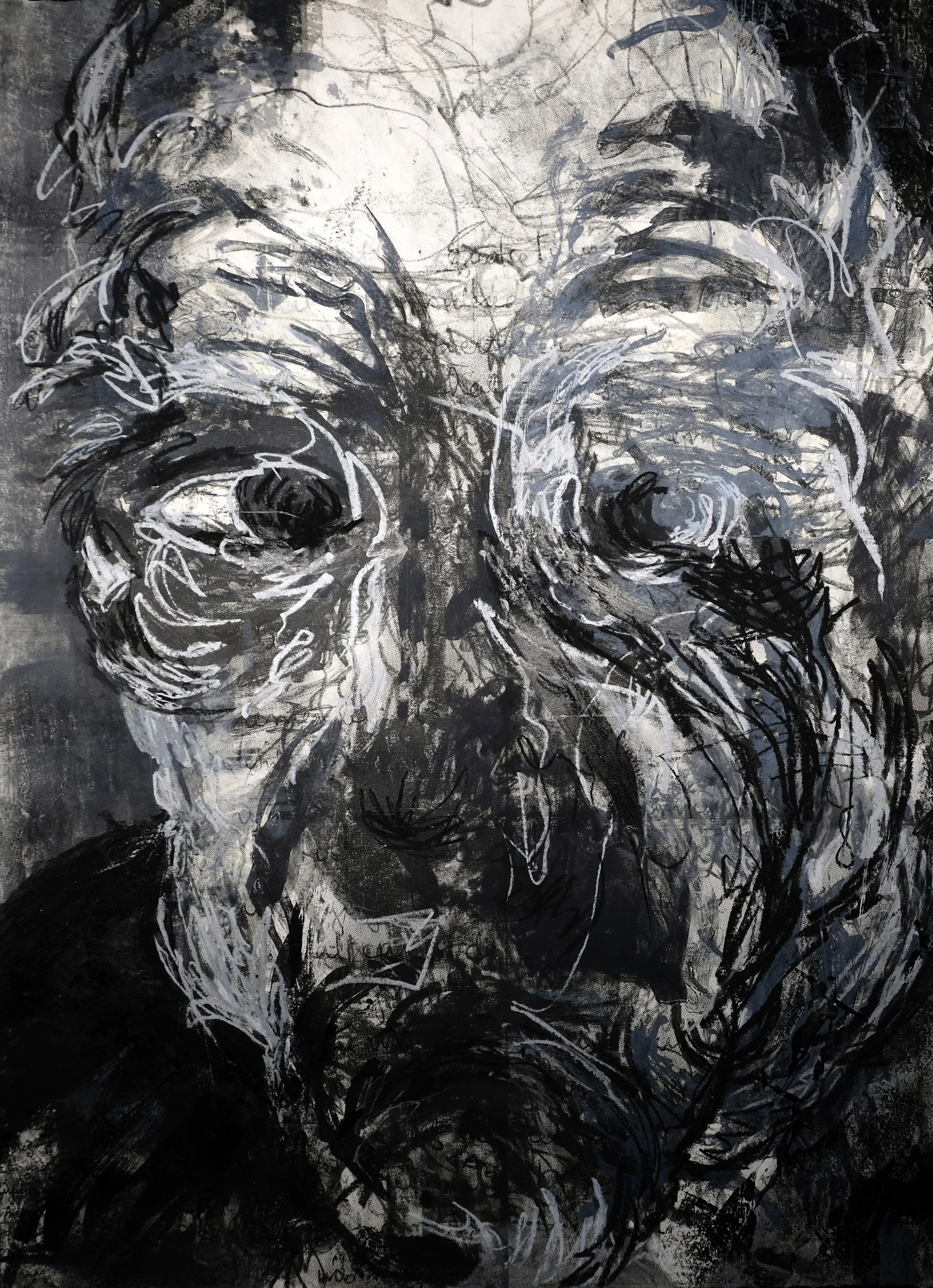 Deteriorate 5, 2006, Lithograph charcoal and ink, 22 x 30 in