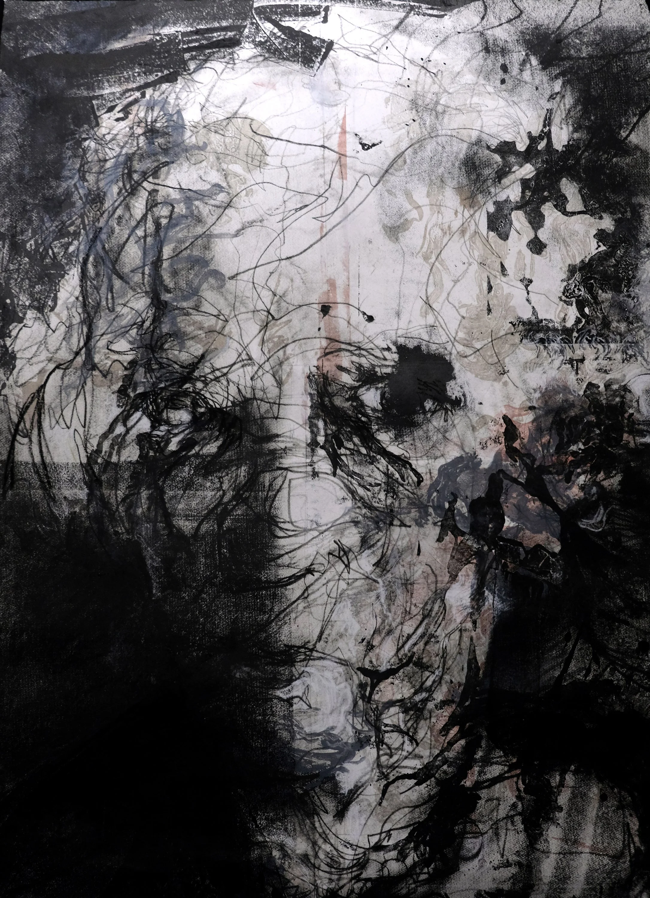 Deteriorate 1, 2006, Lithograph charcoal and ink, 22 x 30 in