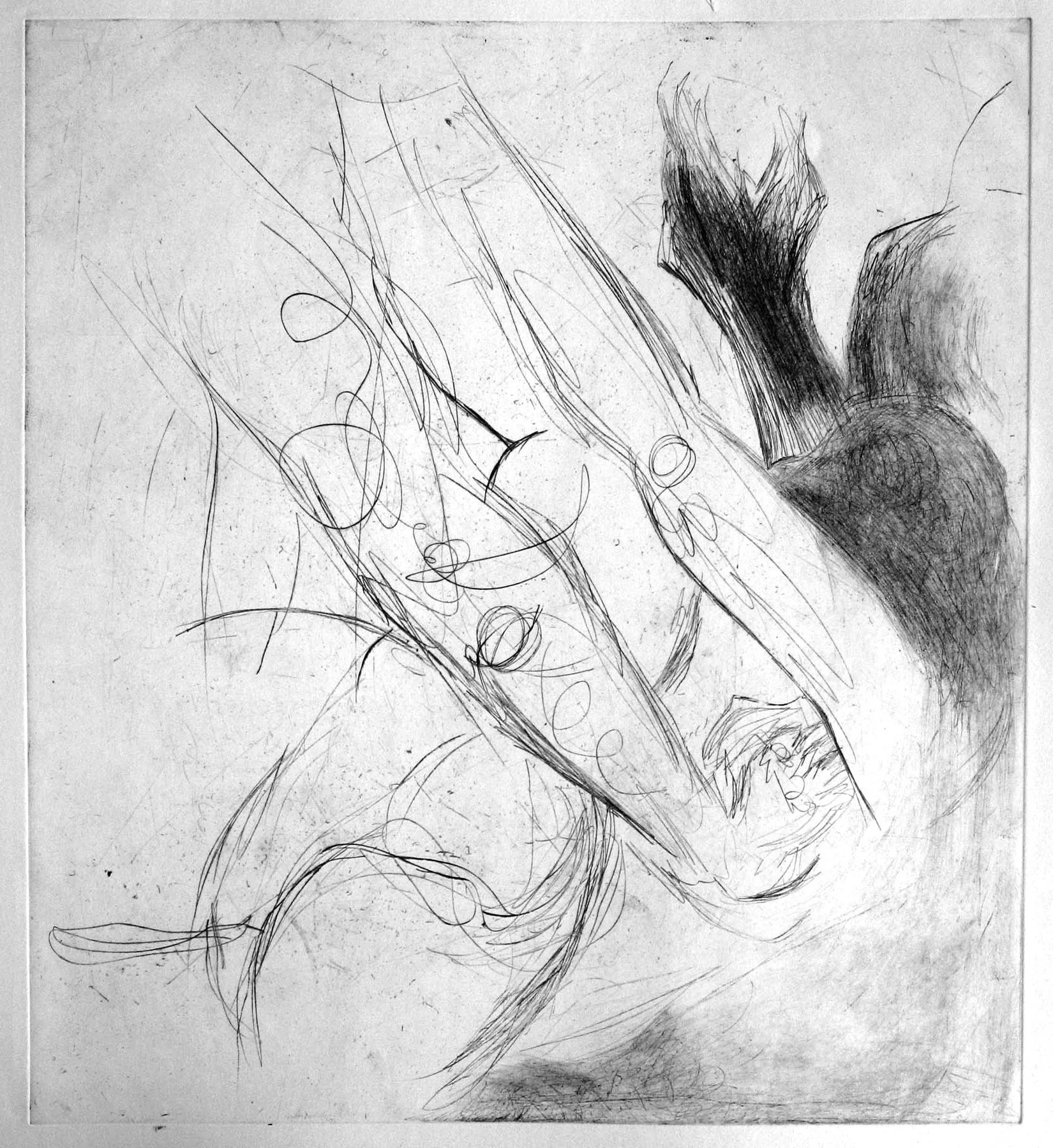 More than me 1, 2008, Drypoint on BFK, 20 x 30 in