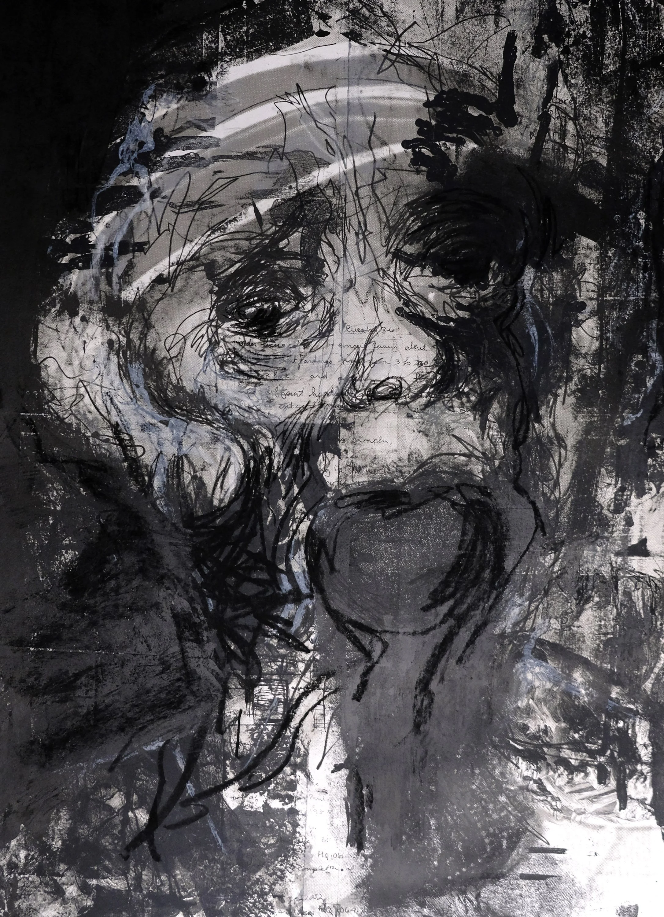 Deteriorate 2, 2006, Lithograph charcoal and ink, 22 x 30 in