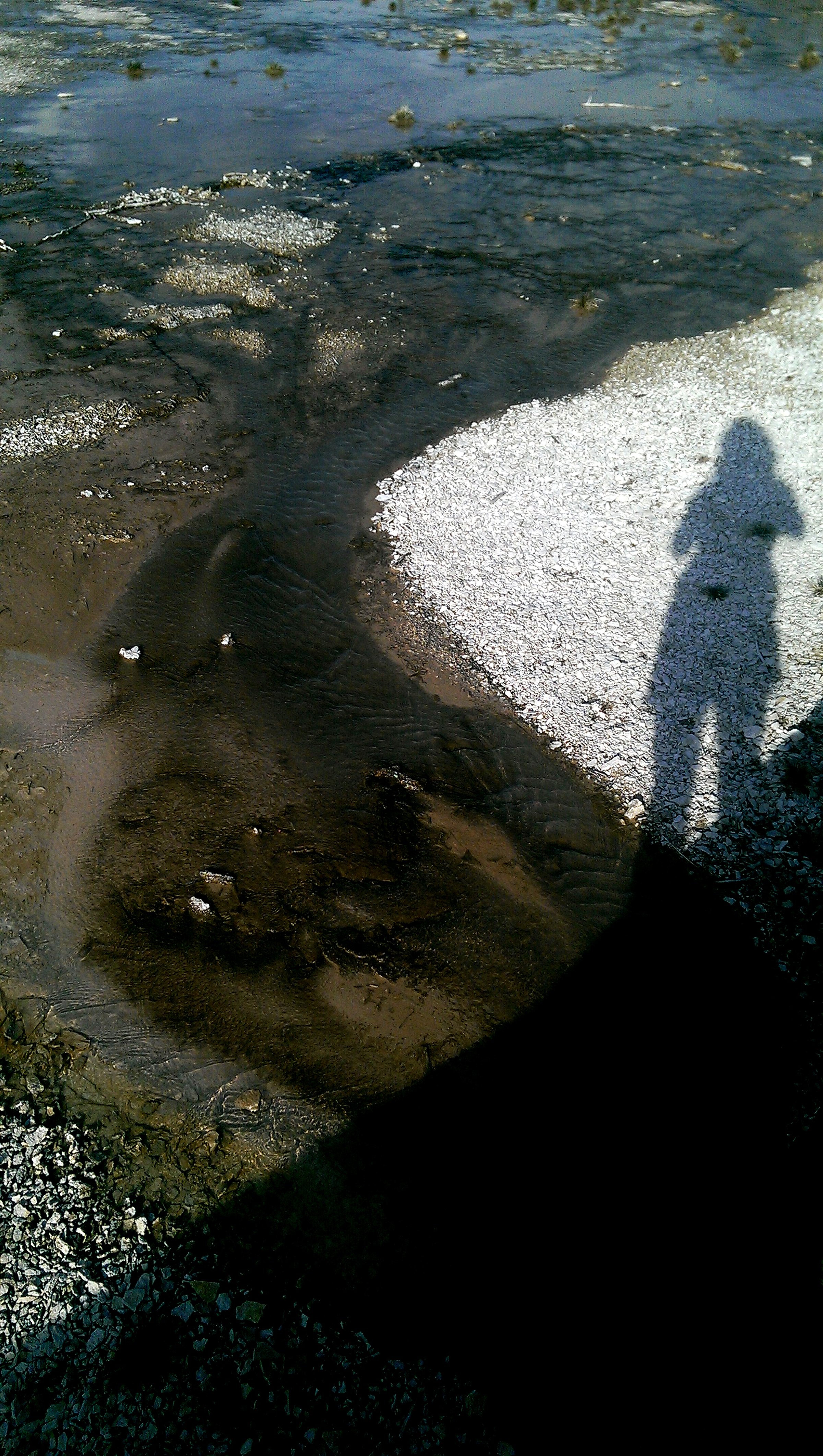 Shadow Series #v6, 2014-2017, Iris Print on Infinity, 20 x 24 inches