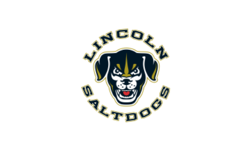 saltdogs logo.png