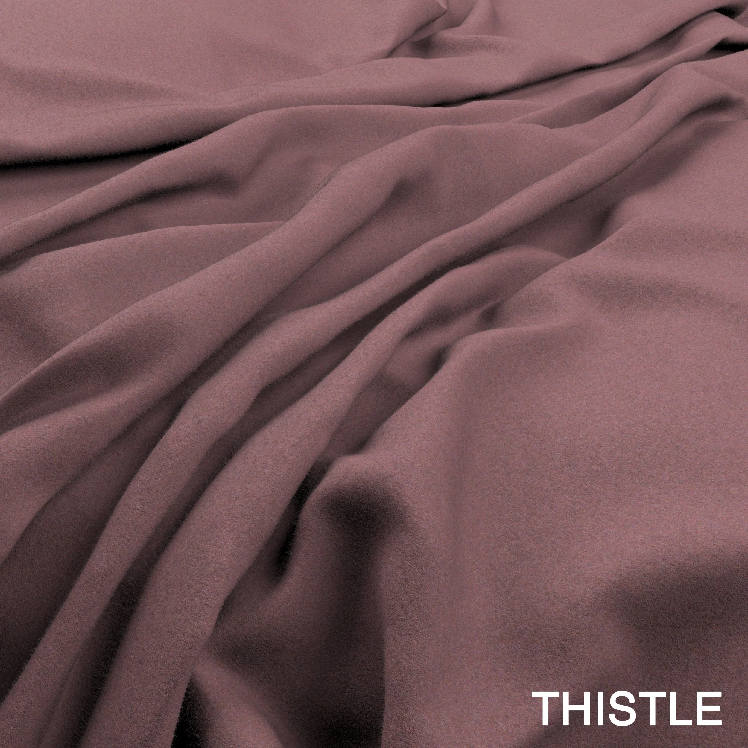 Amatheon-Thistle copy.jpg